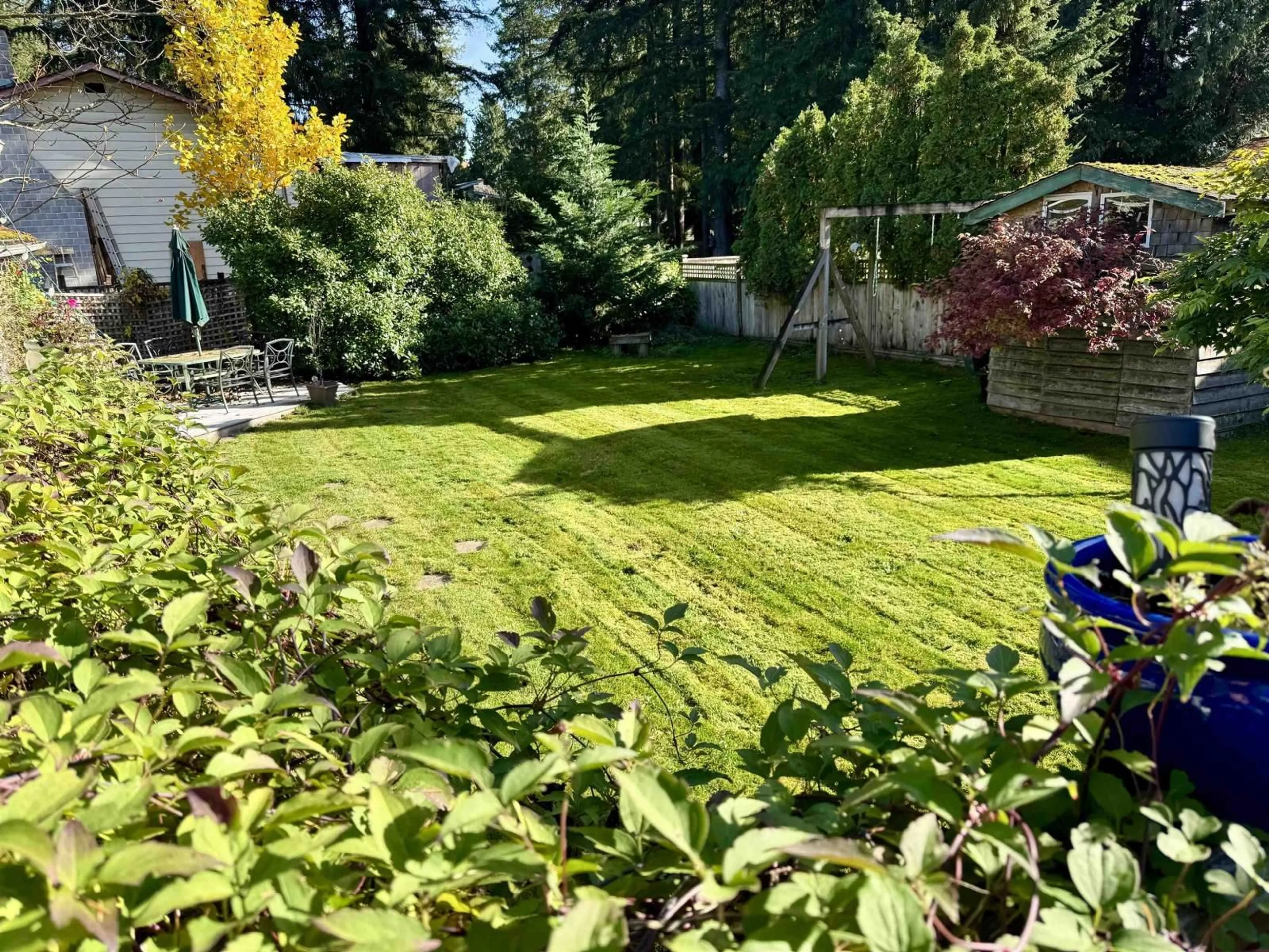 A pic from outside/outdoor area/front of a property/back of a property/a pic from drone, forest/trees view for 3800 204 STREET, Langley British Columbia V3A1X4