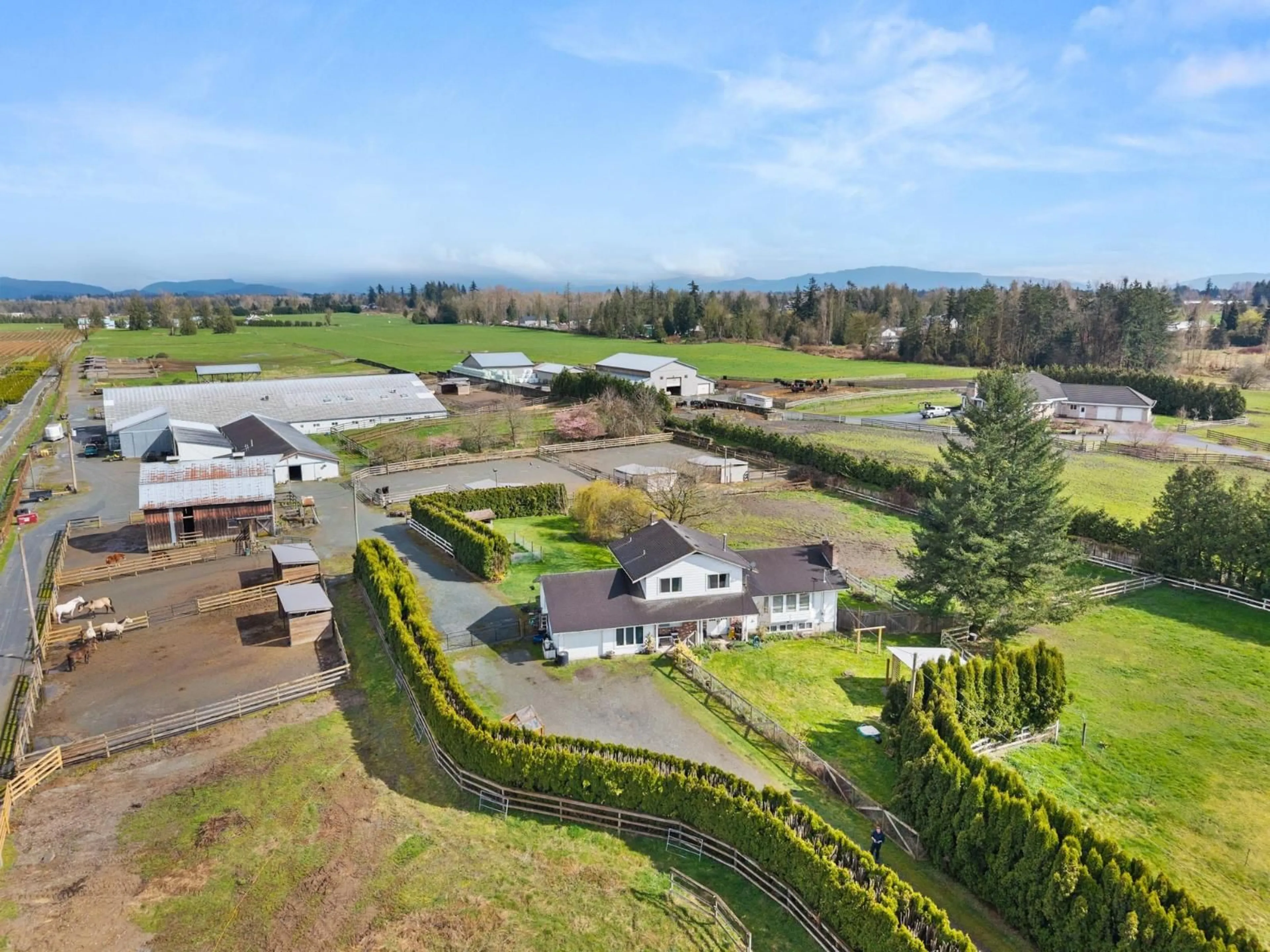 A pic from outside/outdoor area/front of a property/back of a property/a pic from drone, mountain view for 4532 272 STREET, Langley British Columbia V4W1N3
