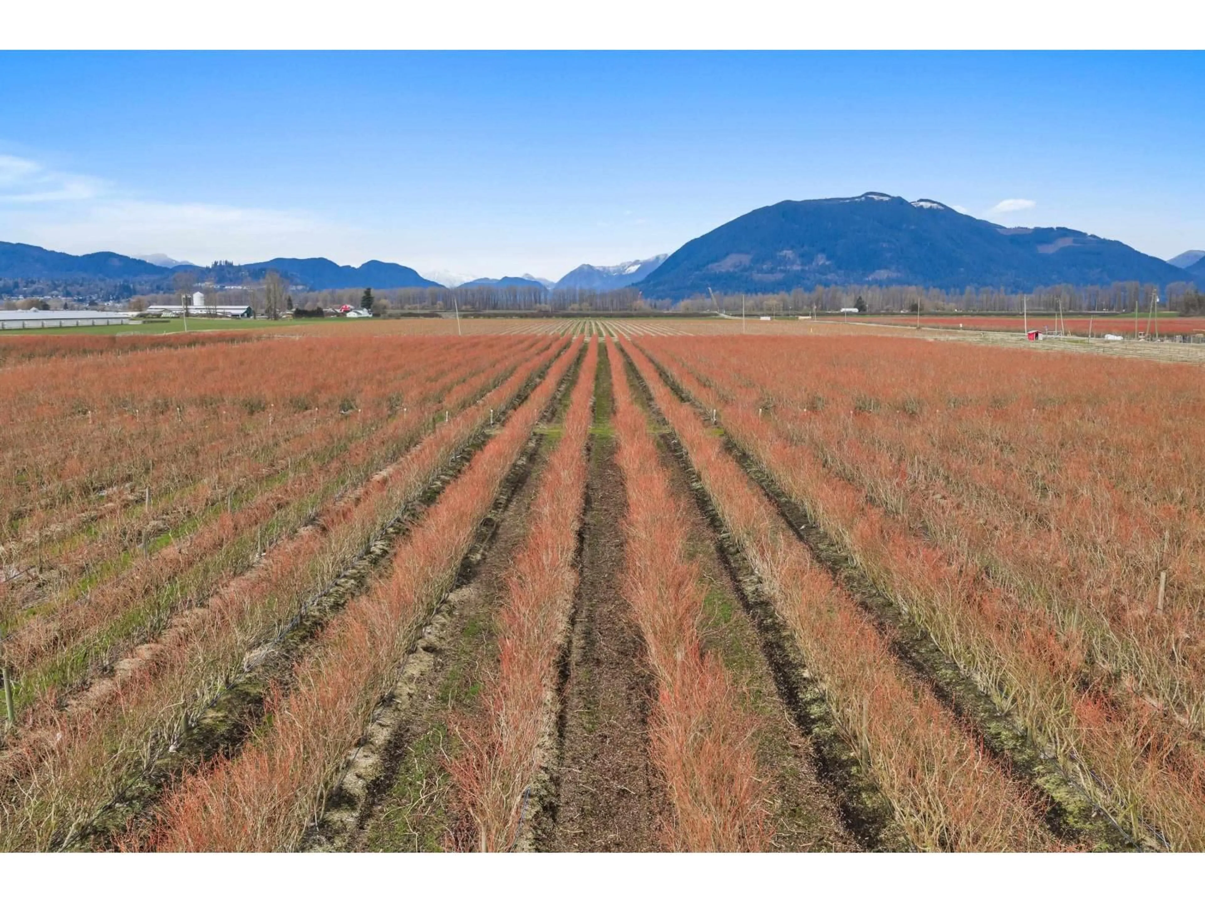 A pic from outside/outdoor area/front of a property/back of a property/a pic from drone, mountain view for 6209 LITTLE STREET, Abbotsford British Columbia V3G1P5