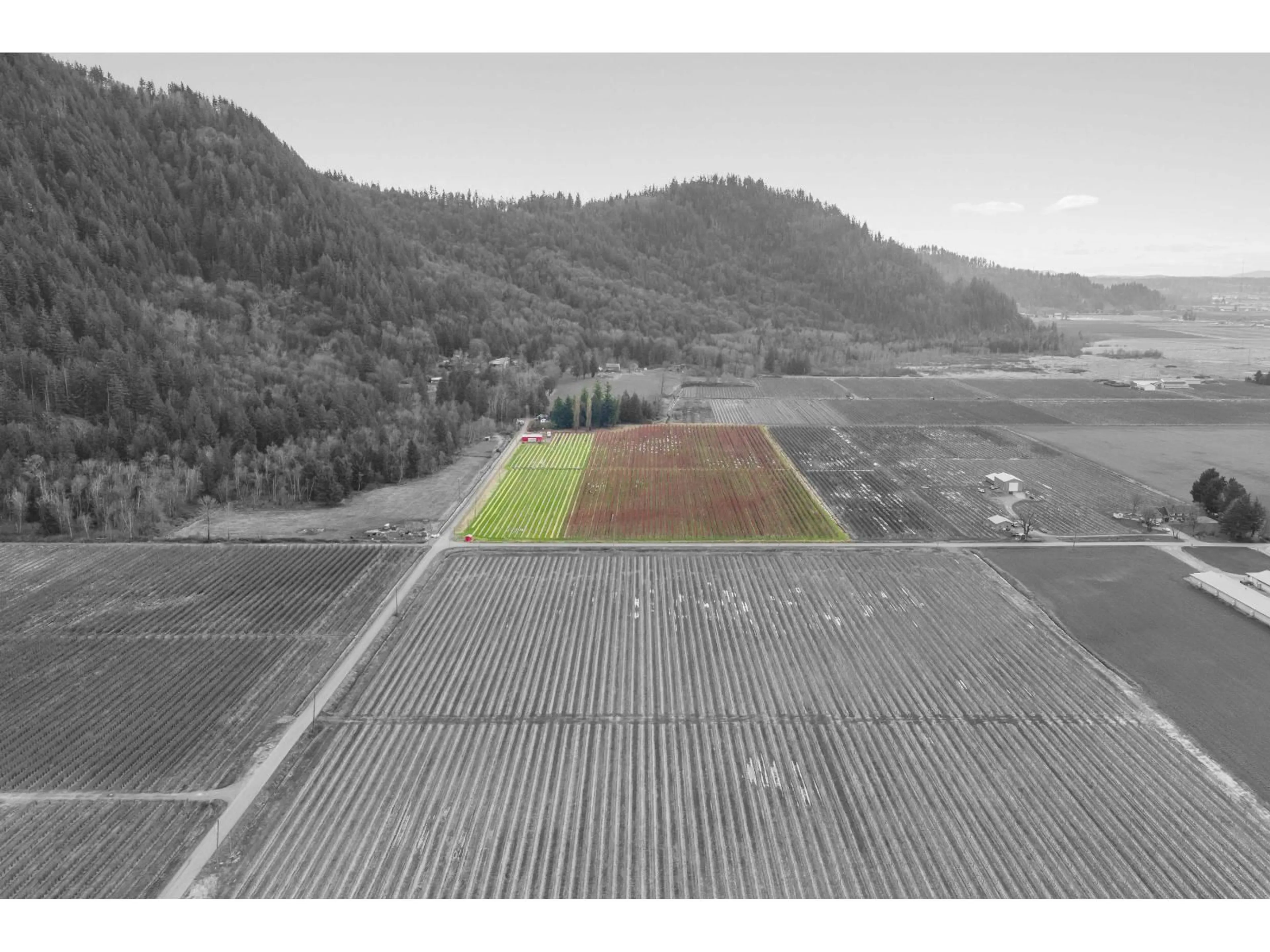 A pic from outside/outdoor area/front of a property/back of a property/a pic from drone, unknown for 6209 LITTLE STREET, Abbotsford British Columbia V3G1P5