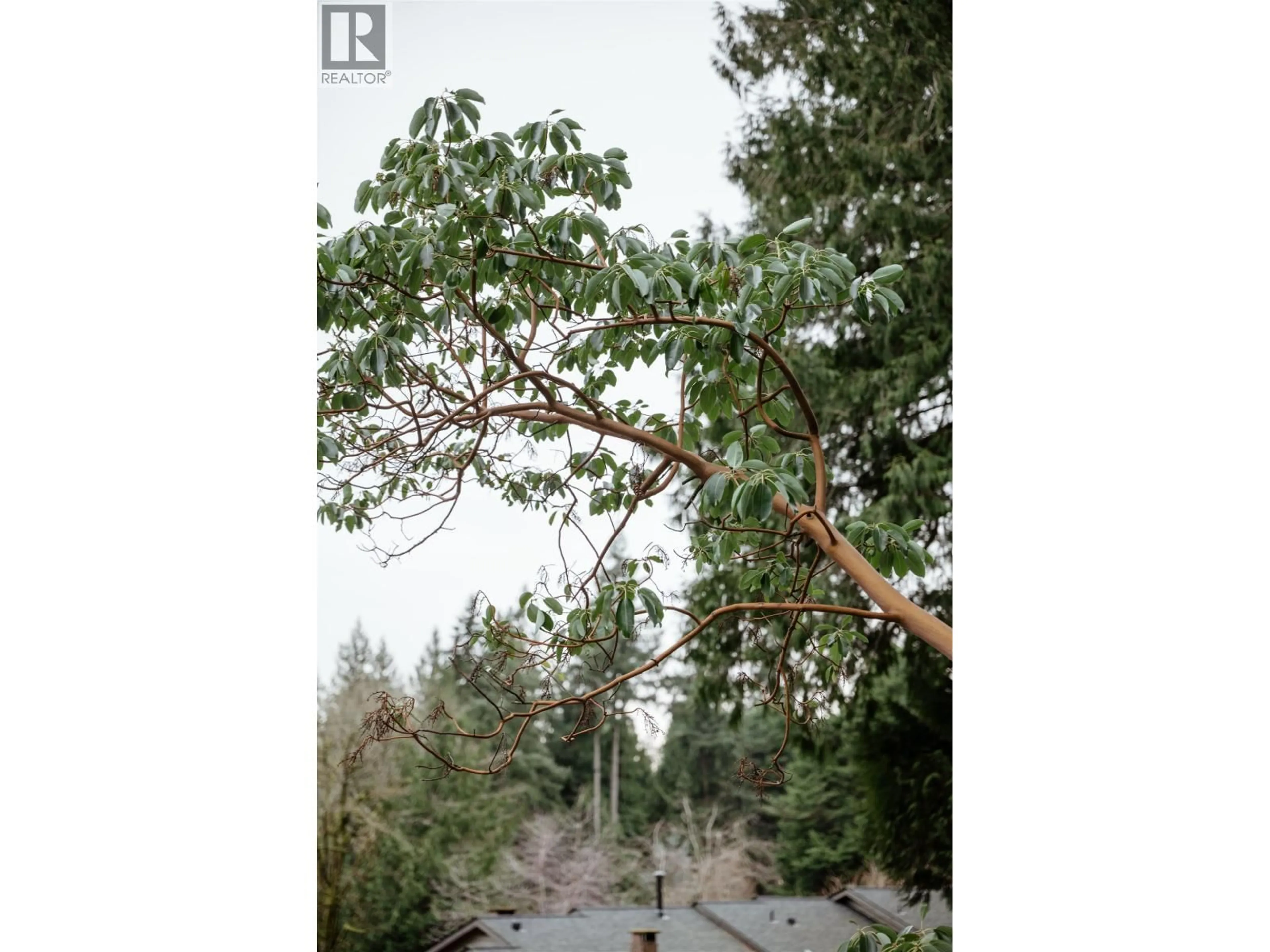 Blurry image for 4639 CAULFEILD DRIVE, West Vancouver British Columbia V7W1E9