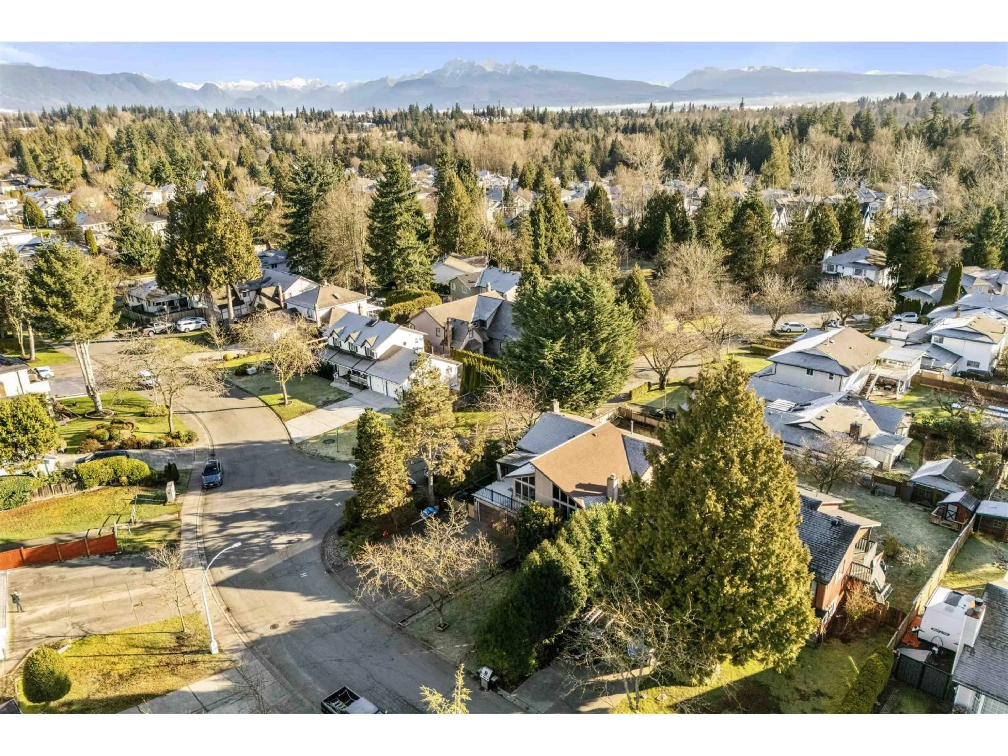 A pic from outside/outdoor area/front of a property/back of a property/a pic from drone, mountain view for 9840 158A STREET, Surrey British Columbia V4N2A3
