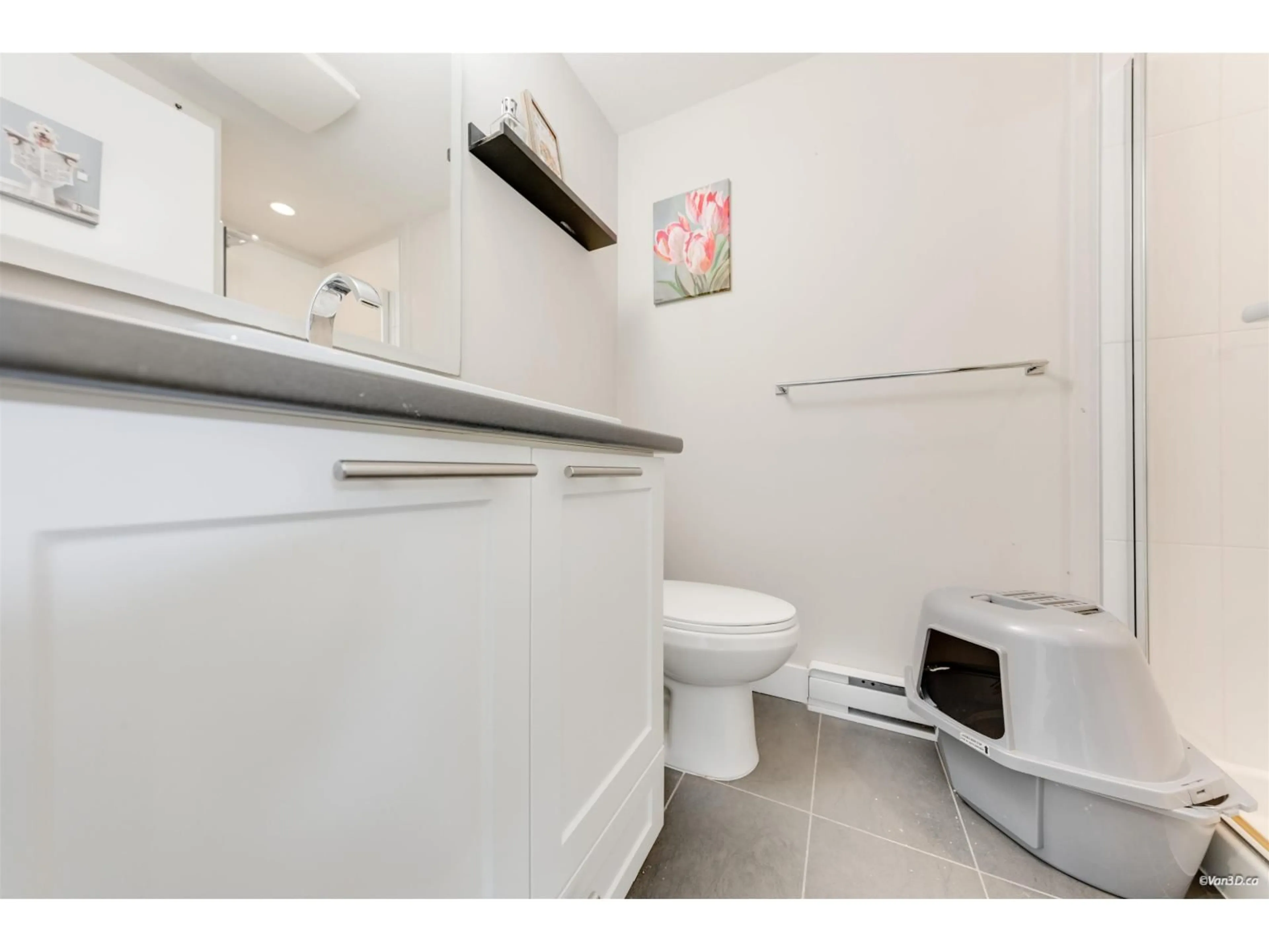 Standard bathroom, unknown for 170 - 2228 162 STREET, Surrey British Columbia V3Z6P4