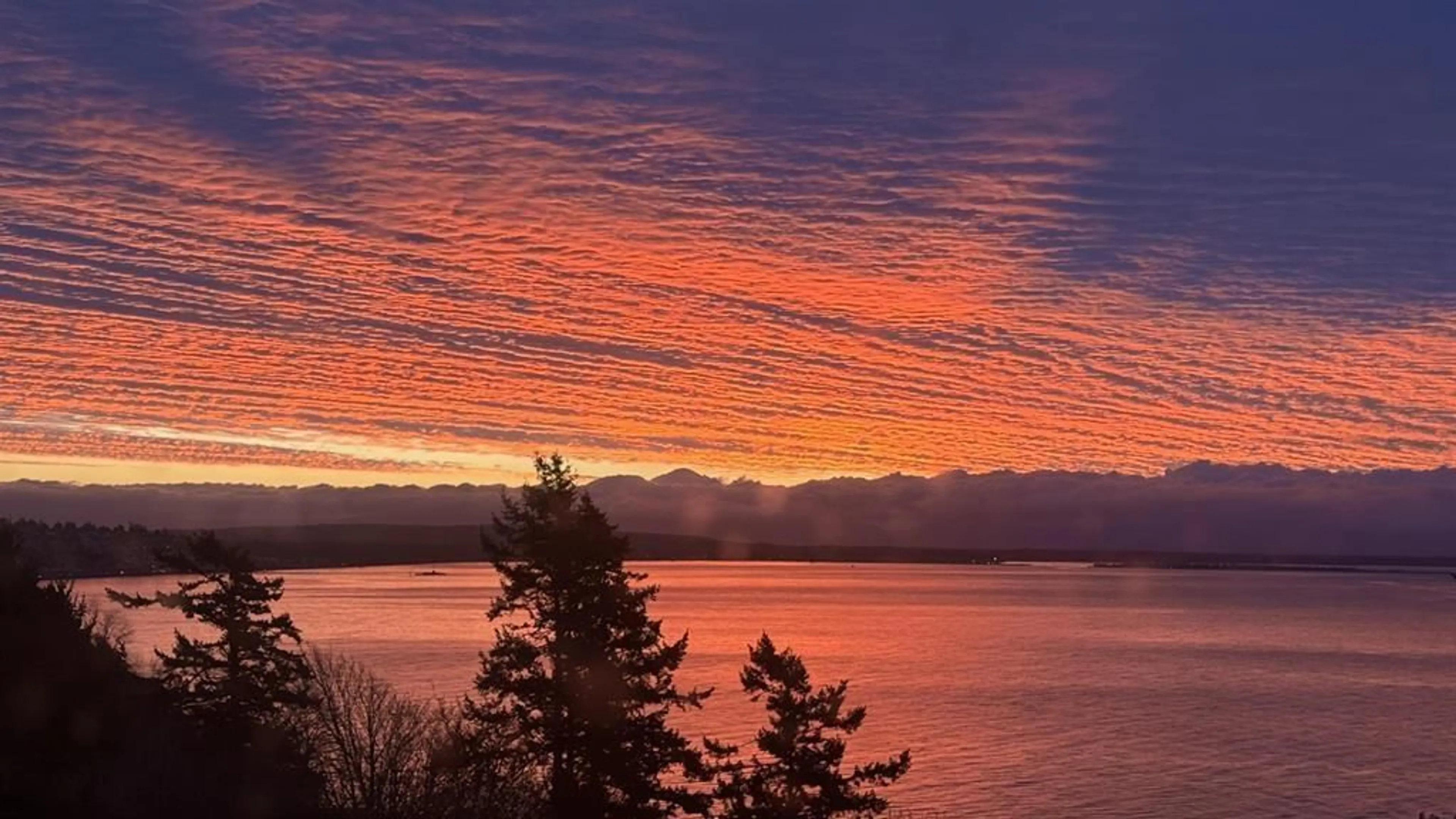 Blurry image for 13026 13 AVENUE, Surrey British Columbia V4A1B8