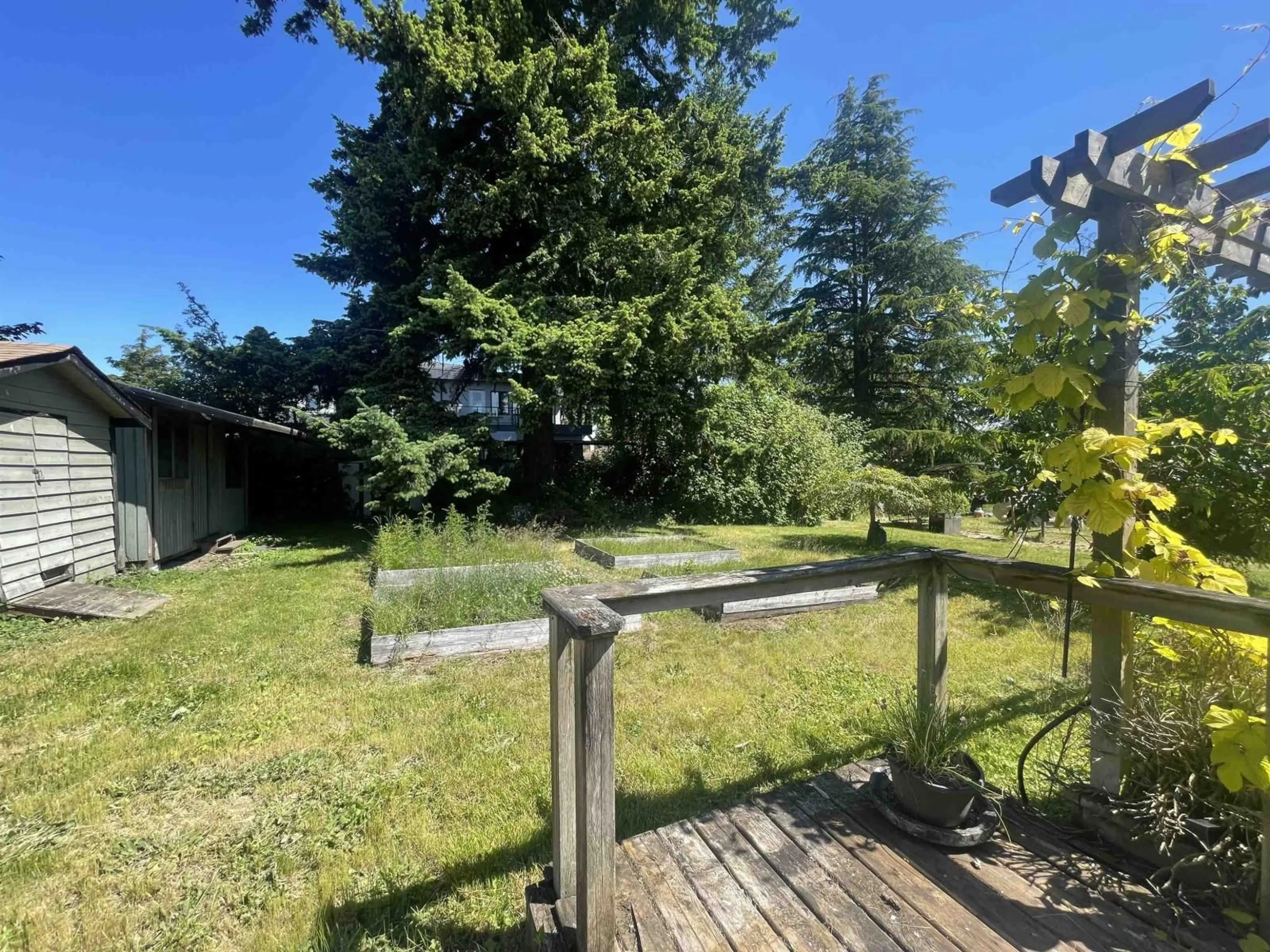 A pic from outside/outdoor area/front of a property/back of a property/a pic from drone, forest/trees view for 15463 16A AVENUE, Surrey British Columbia V4A1T2