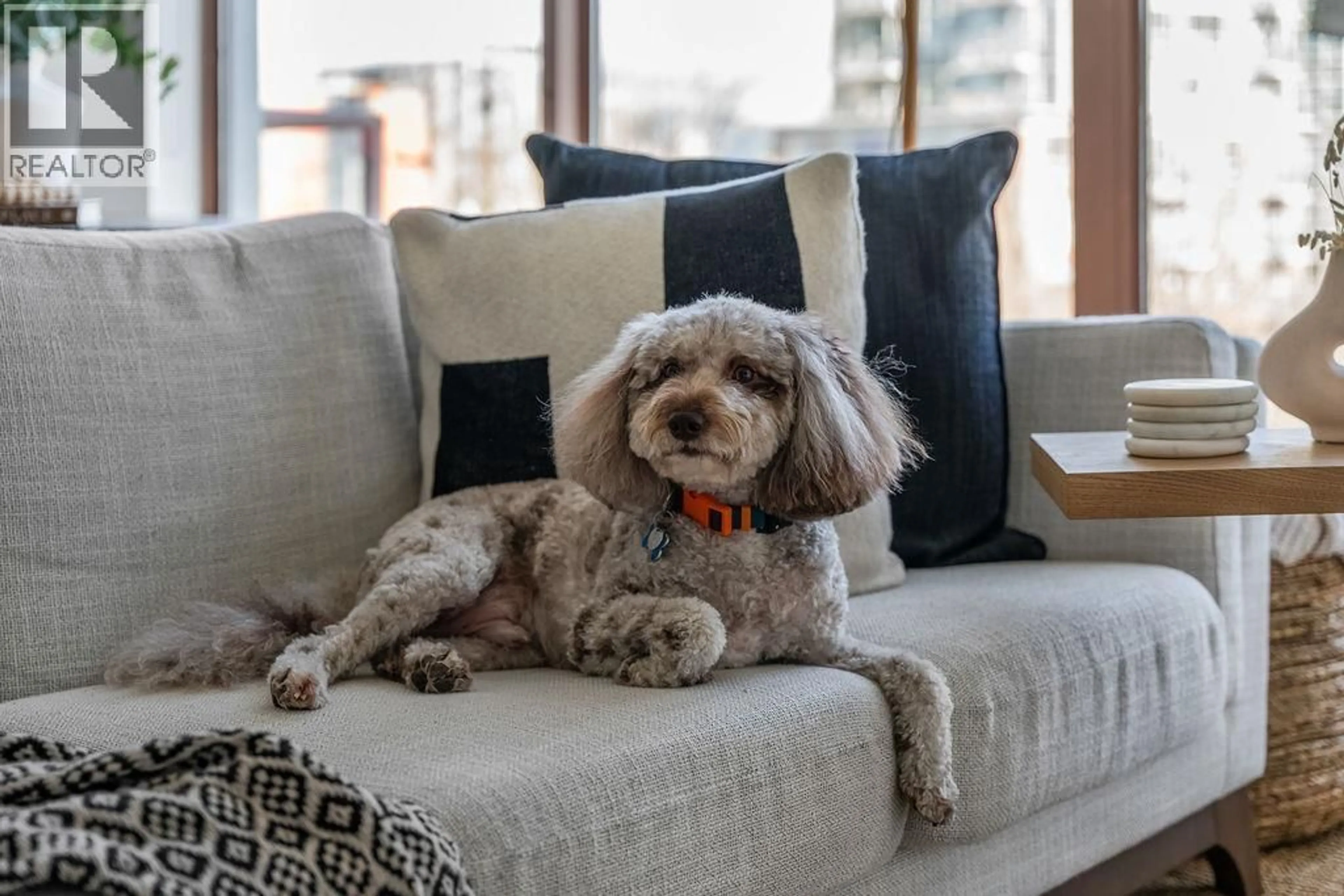 Living room with furniture, unknown for 404 - 1633 8TH AVENUE, Vancouver British Columbia V6J5H7