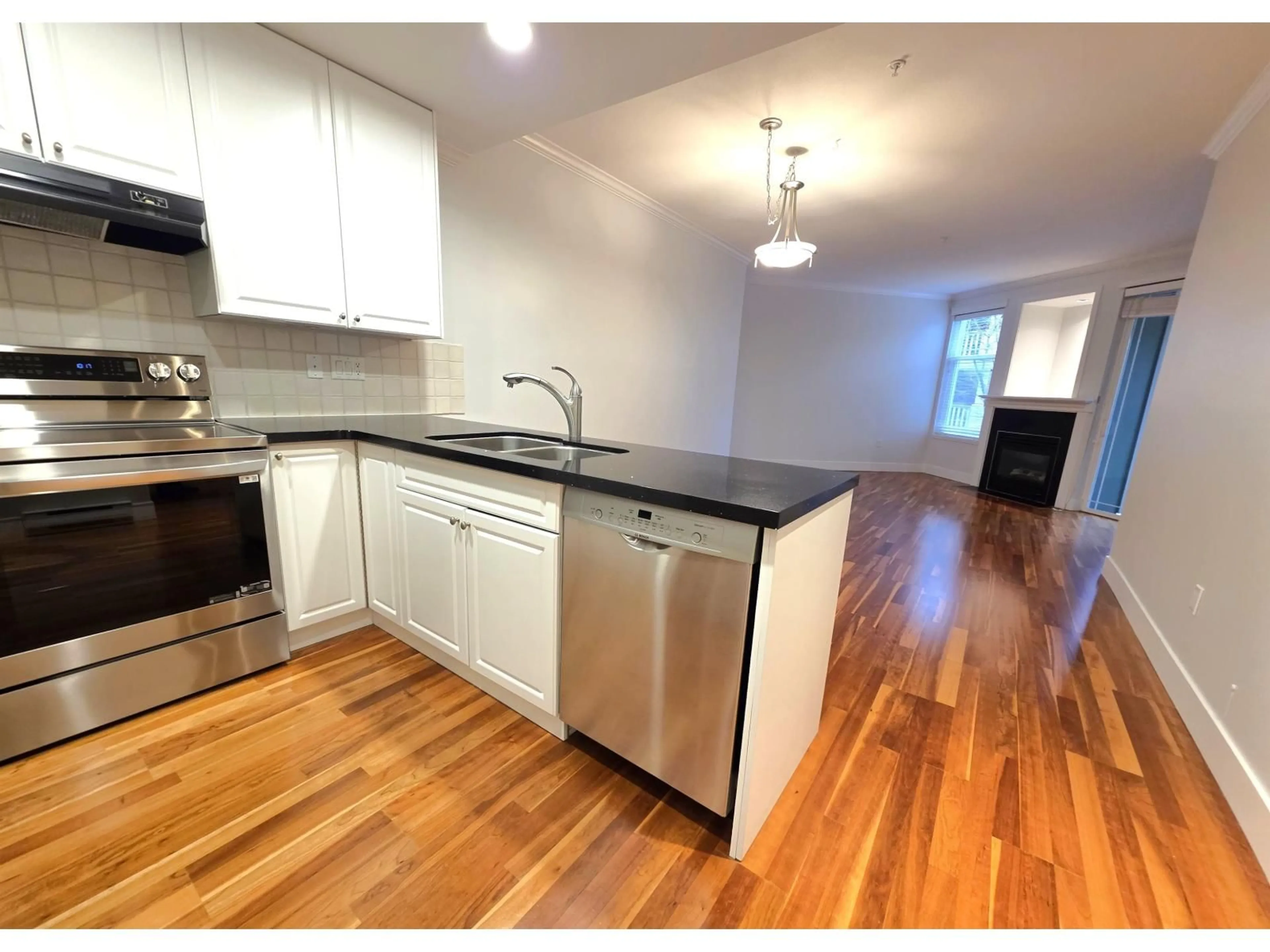 Standard kitchen, wood/laminate floor for 209 - 15350 16A AVENUE, Surrey British Columbia V4A1S9