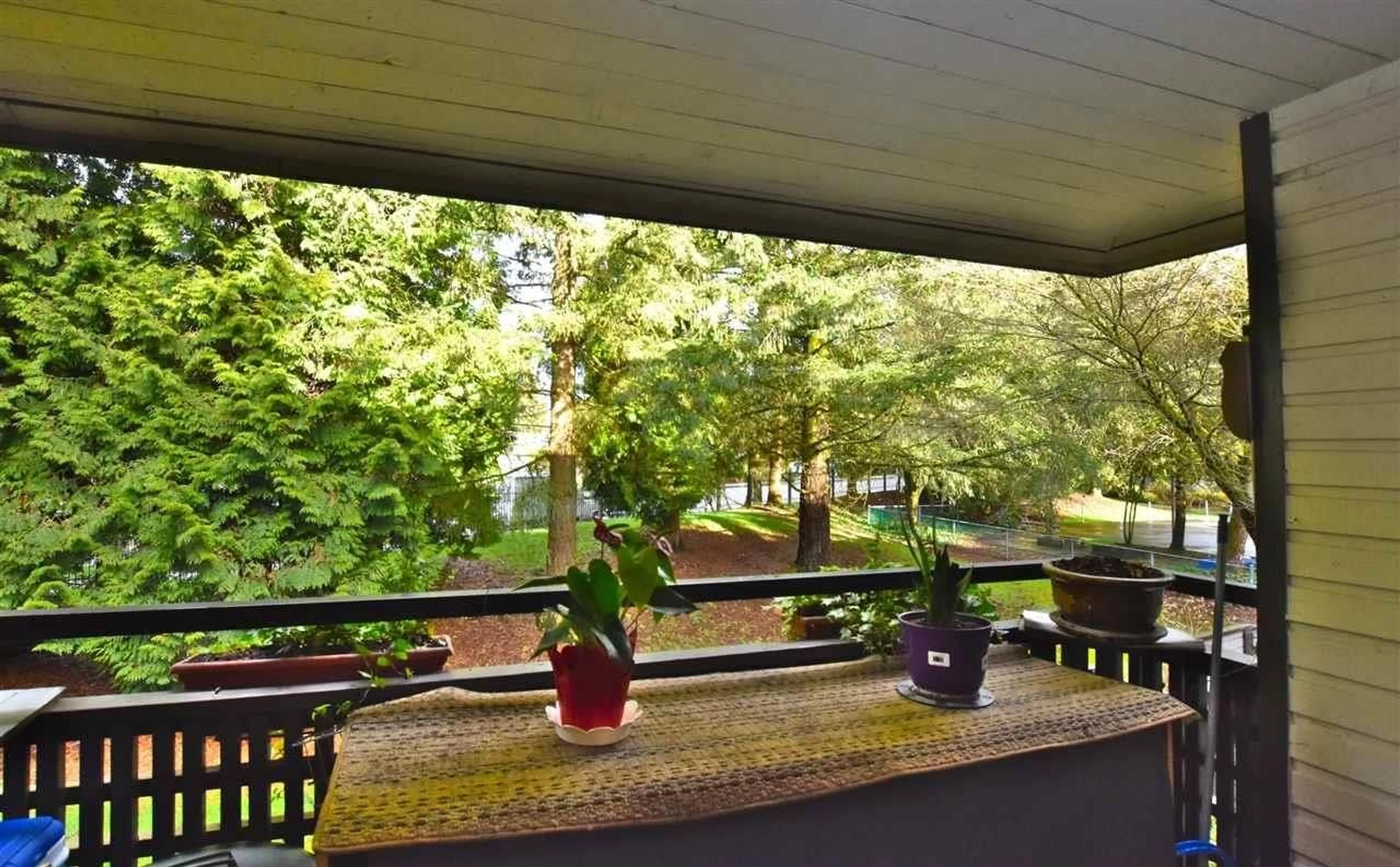 Patio, forest/trees view for 10527 HOLLY PARK LANE, Surrey British Columbia V3R6X8