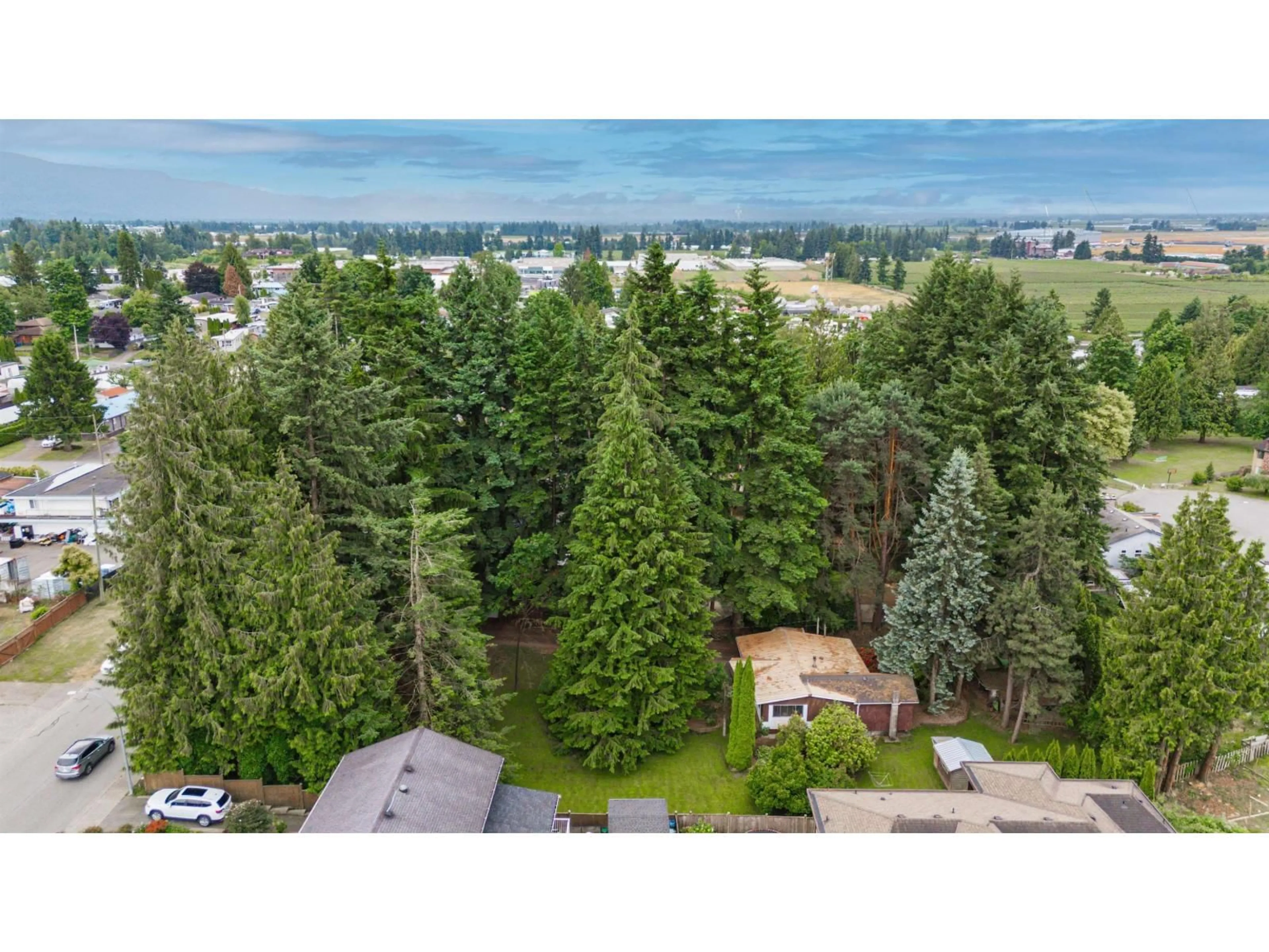 A pic from outside/outdoor area/front of a property/back of a property/a pic from drone, forest/trees view for 2161 MARTENS STREET, Abbotsford British Columbia V2T6M6