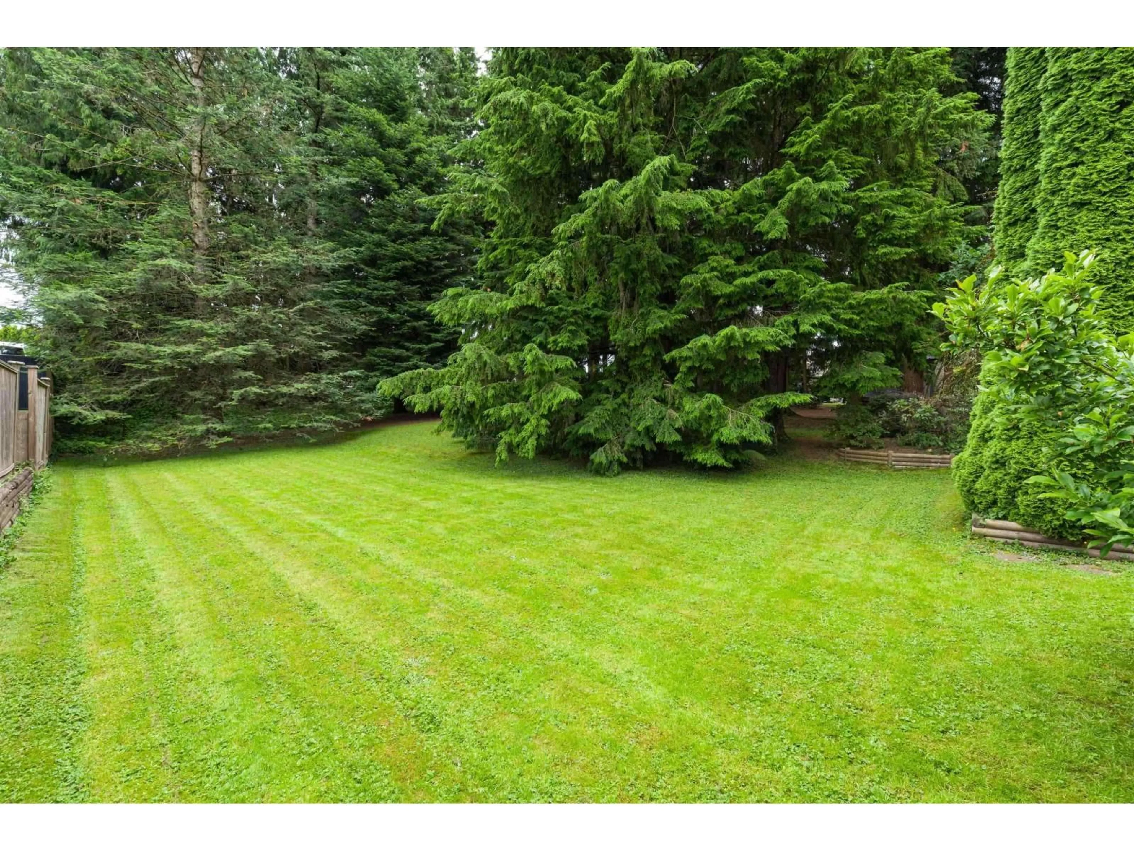 A pic from outside/outdoor area/front of a property/back of a property/a pic from drone, forest/trees view for 2161 MARTENS STREET, Abbotsford British Columbia V2T6M6