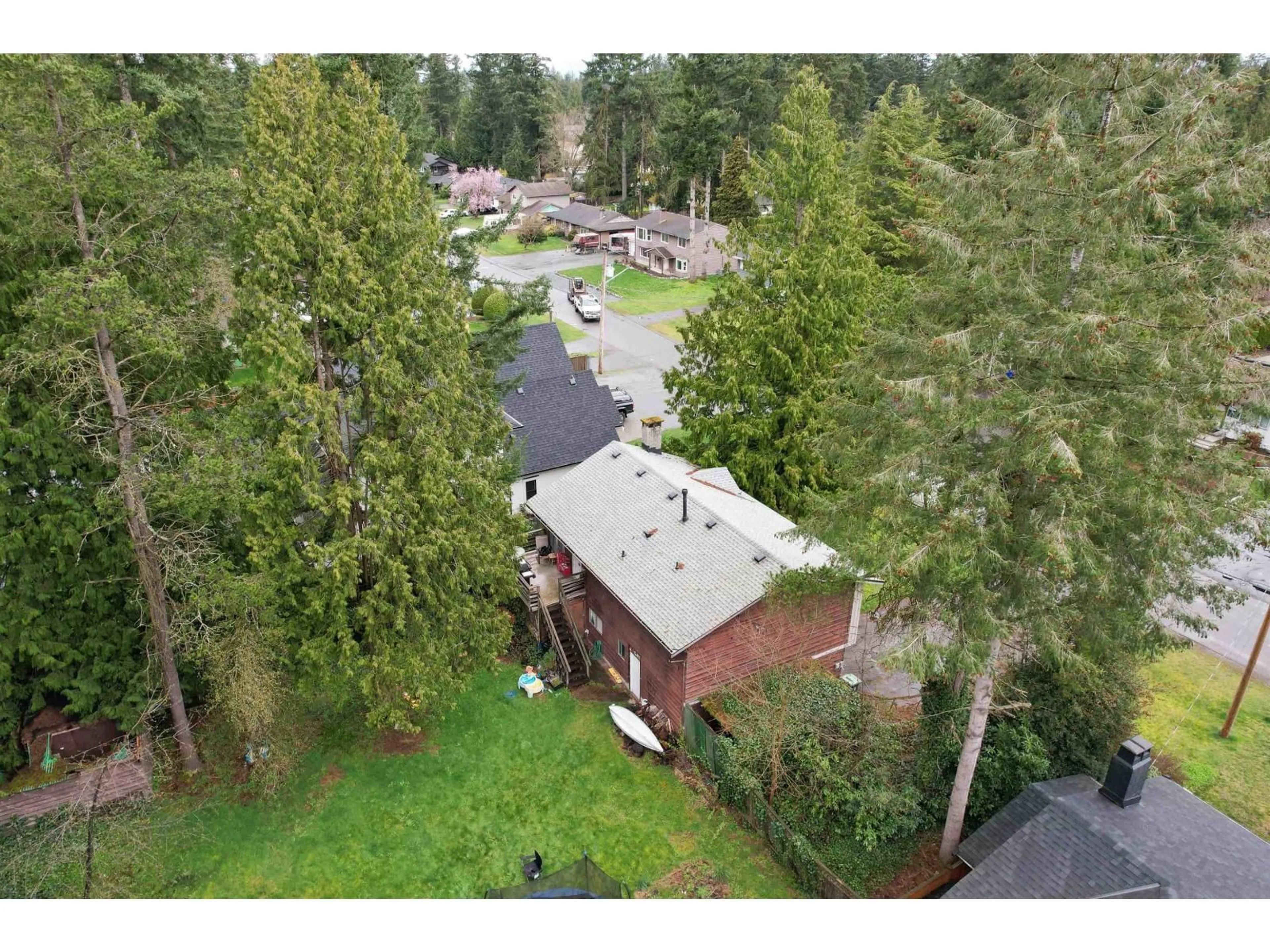 A pic from outside/outdoor area/front of a property/back of a property/a pic from drone, forest/trees view for 4047 204B STREET, Langley British Columbia V3V1A8