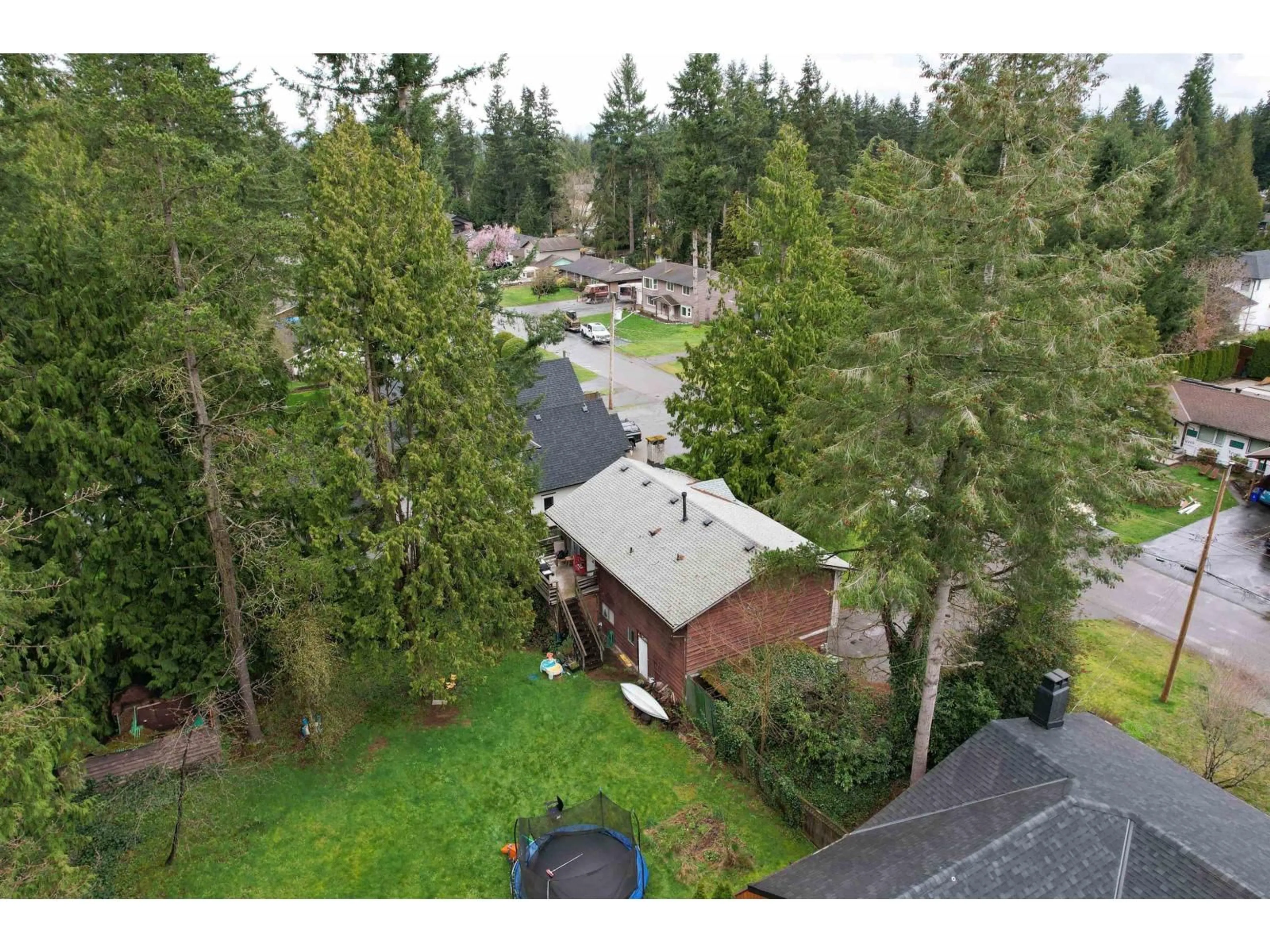 A pic from outside/outdoor area/front of a property/back of a property/a pic from drone, forest/trees view for 4047 204B STREET, Langley British Columbia V3V1A8