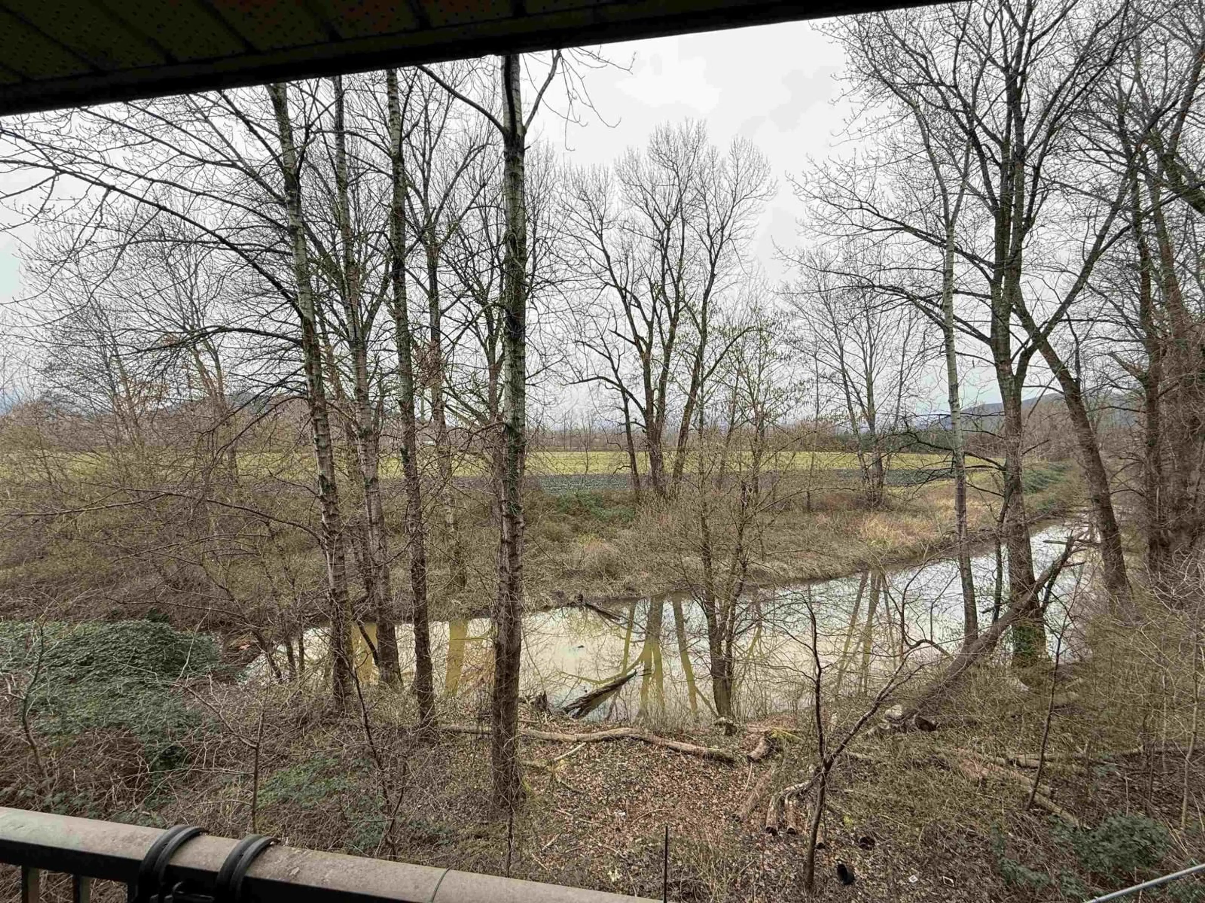 A pic from outside/outdoor area/front of a property/back of a property/a pic from drone, forest/trees view for 209 - 45567 YALE ROAD, Chilliwack British Columbia V2P0B2