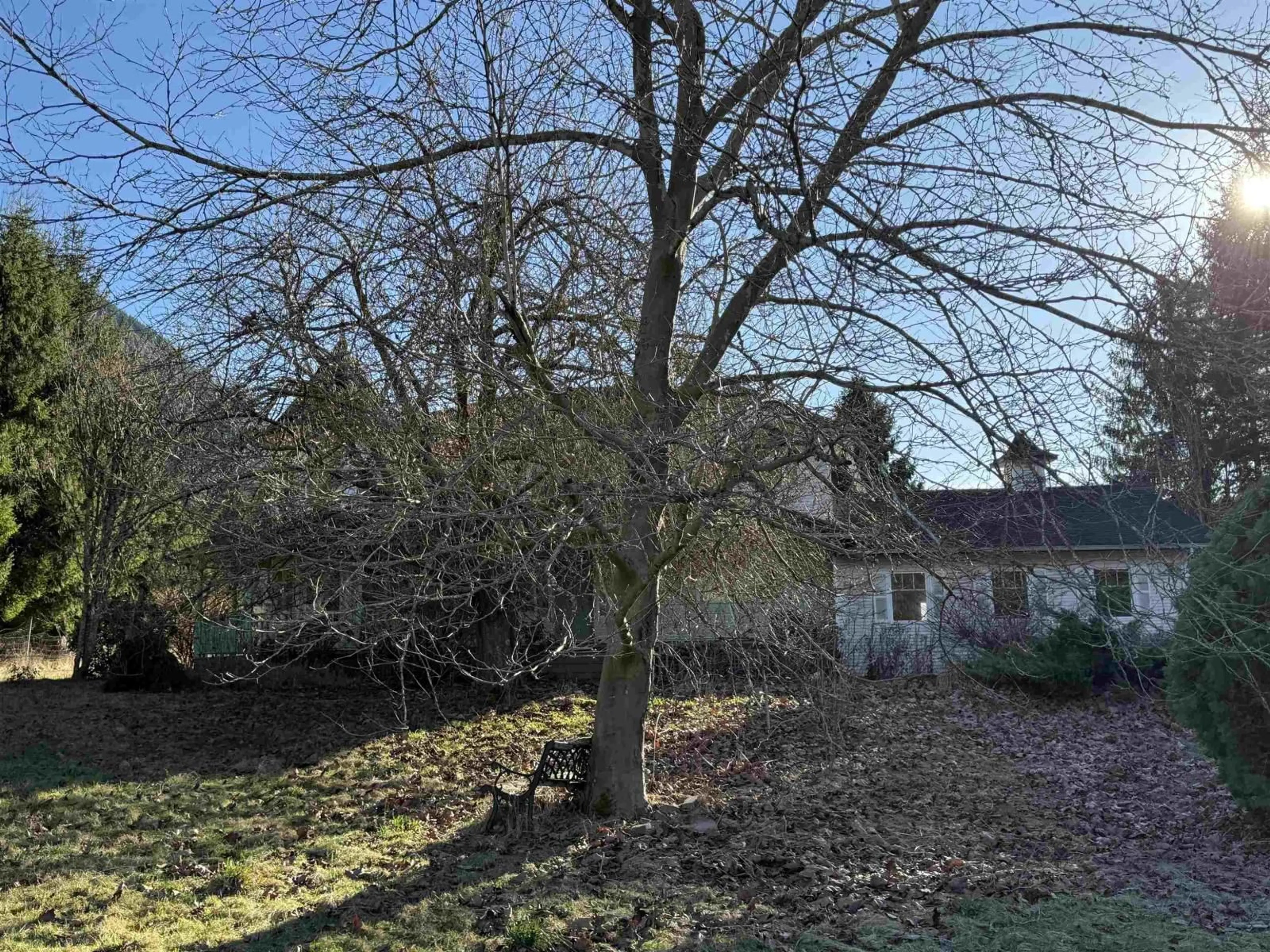 A pic from outside/outdoor area/front of a property/back of a property/a pic from drone, forest/trees view for 290 COLTER ROAD, Columbia Valley British Columbia V2R5B8