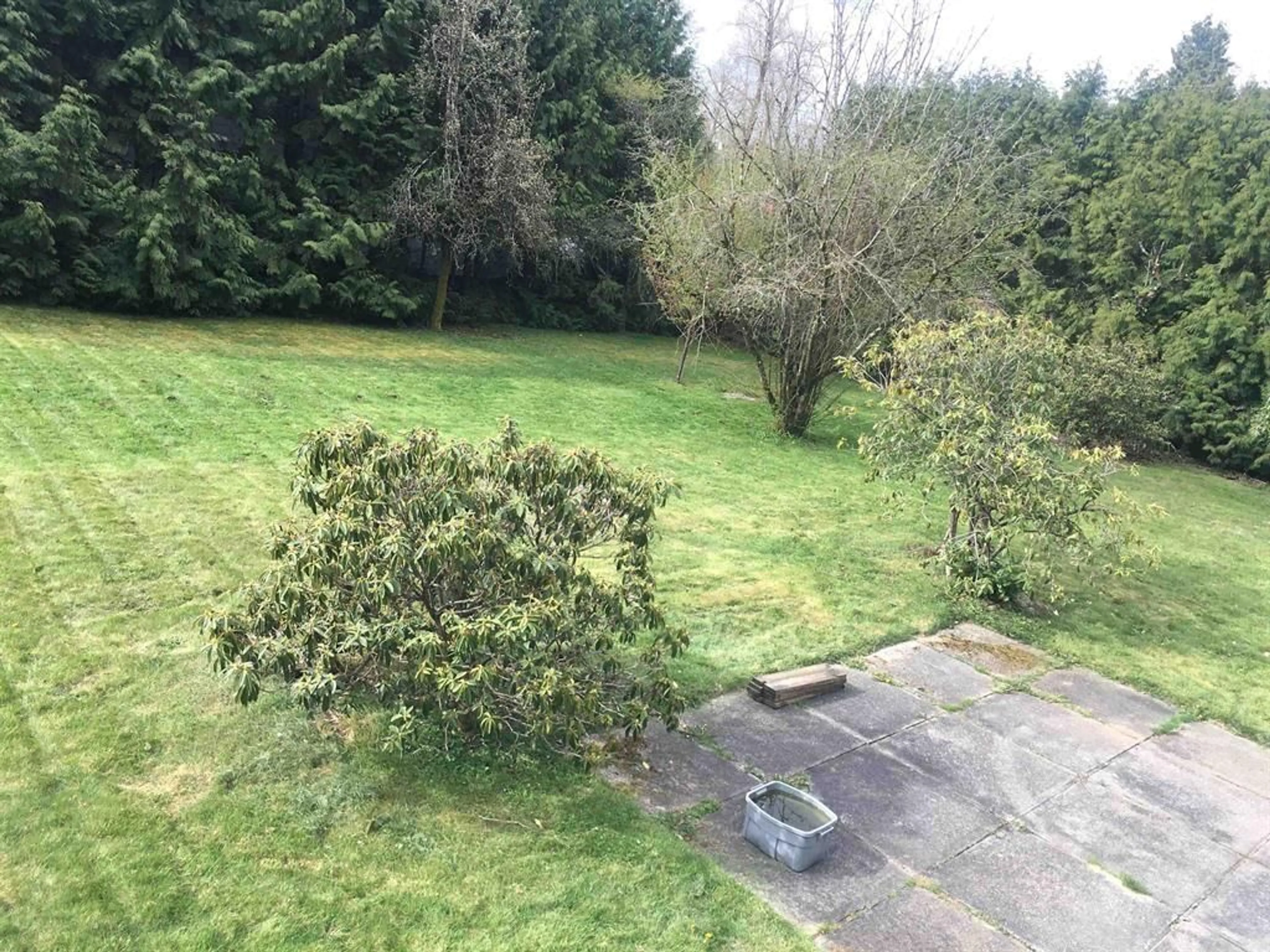 A pic from outside/outdoor area/front of a property/back of a property/a pic from drone, forest/trees view for 16768 26 AVENUE, Surrey British Columbia V3Z0B2