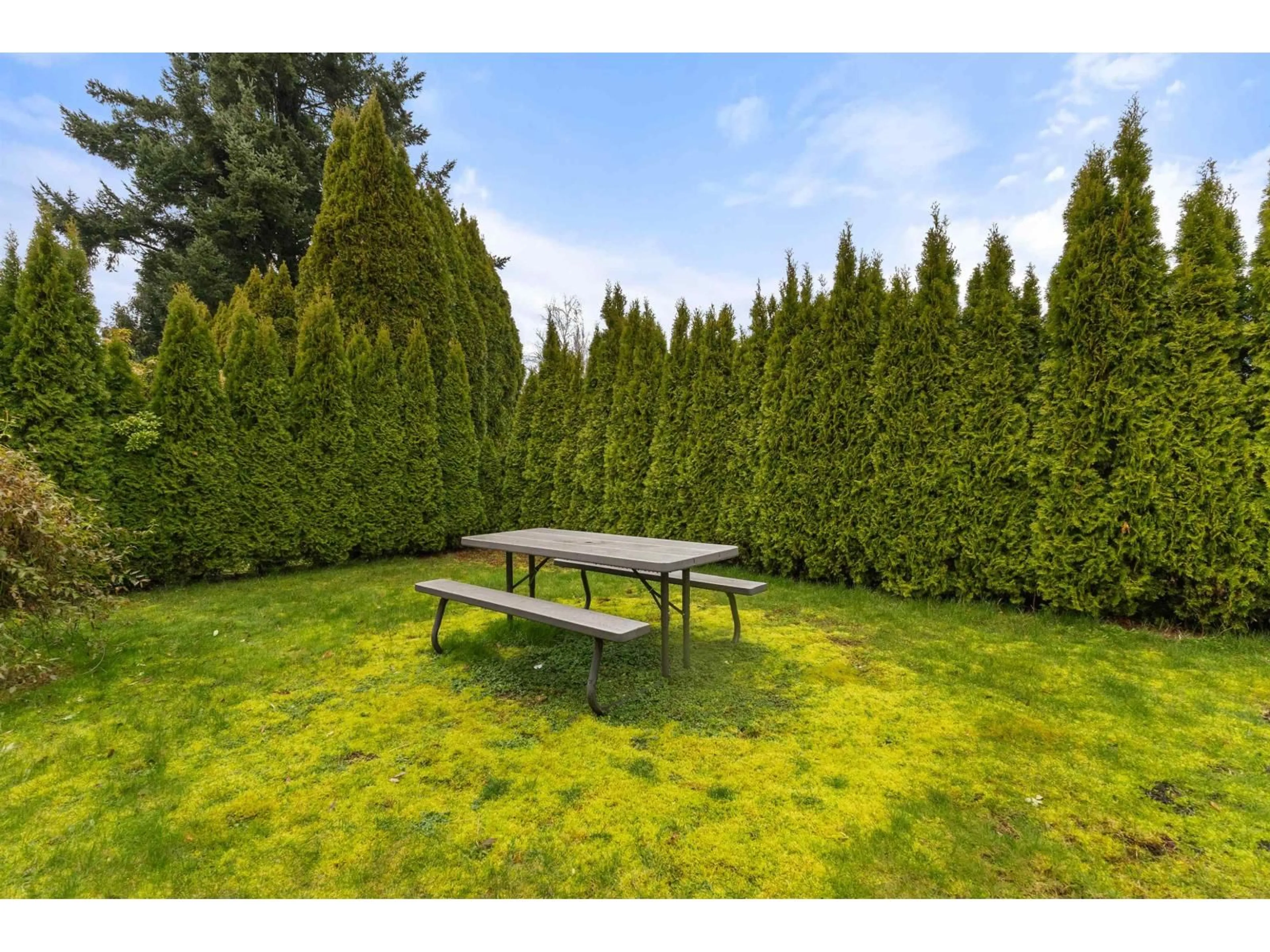 Patio, forest/trees view for 3778 NANAIMO CRESCENT, Abbotsford British Columbia V2T4Z8