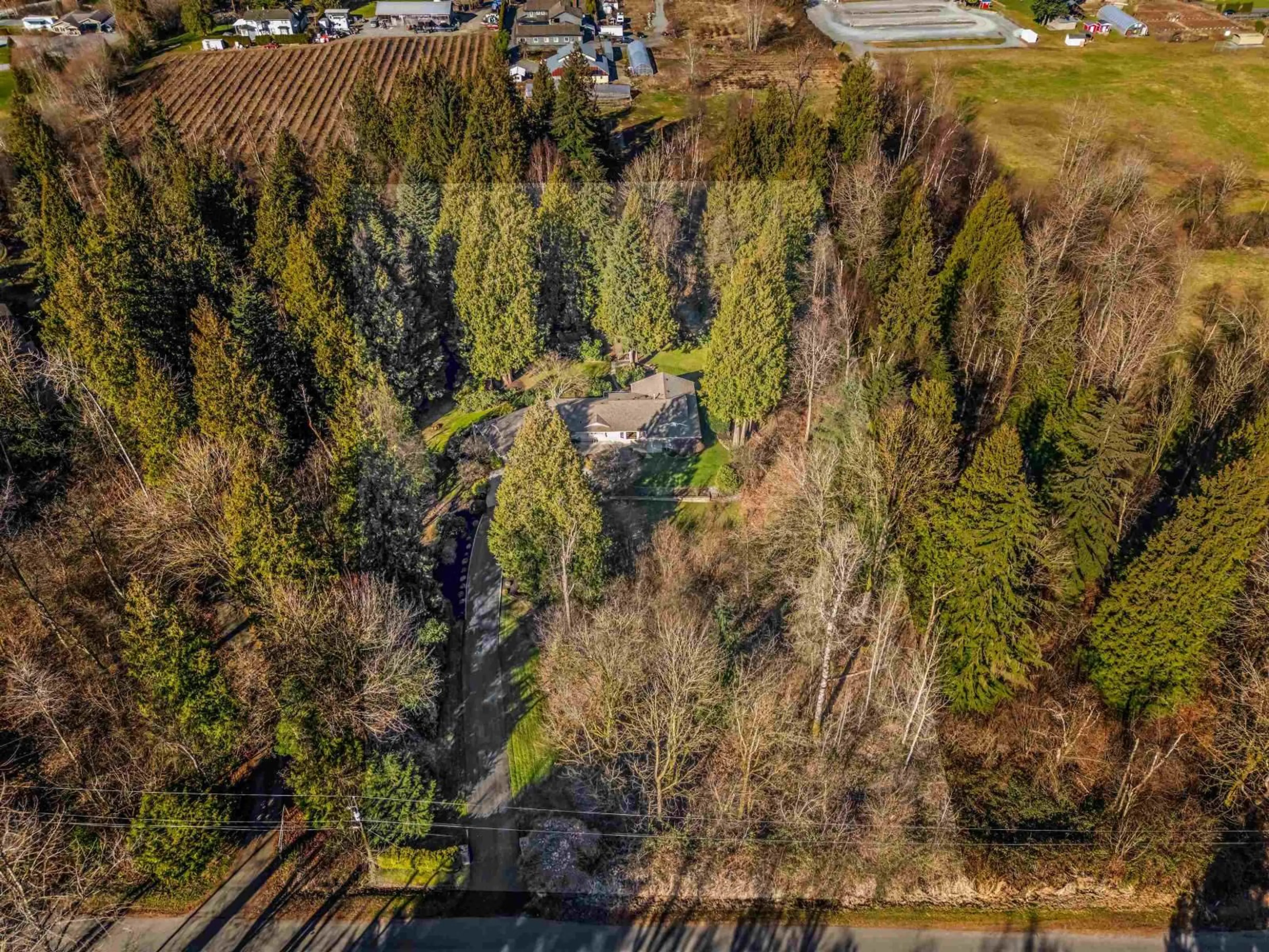 A pic from outside/outdoor area/front of a property/back of a property/a pic from drone, forest/trees view for 31553 BROOKSIDE AVENUE, Abbotsford British Columbia V2T5W6