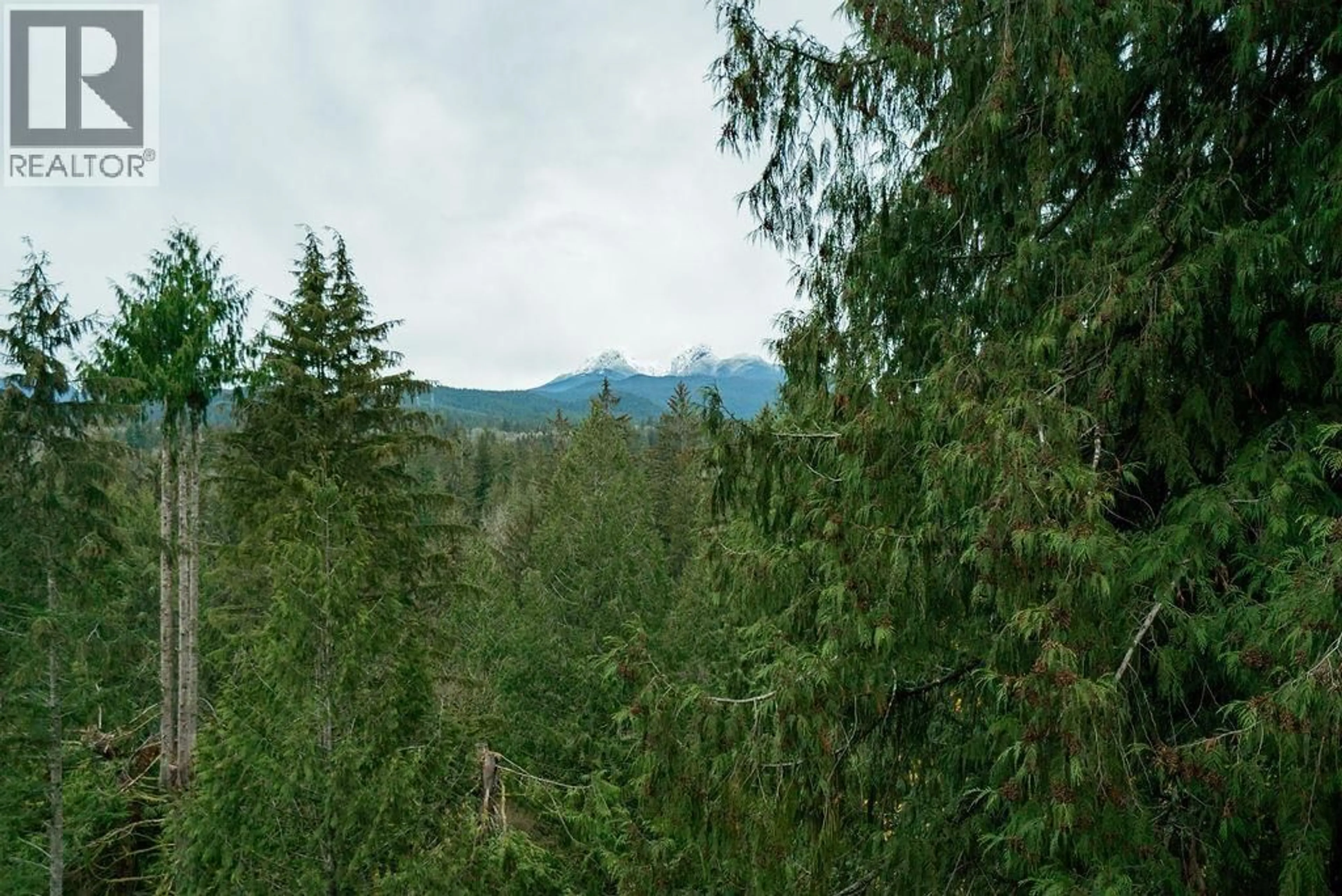 Blurry image for 12680 ANSELL STREET, Maple Ridge British Columbia V4R1L4