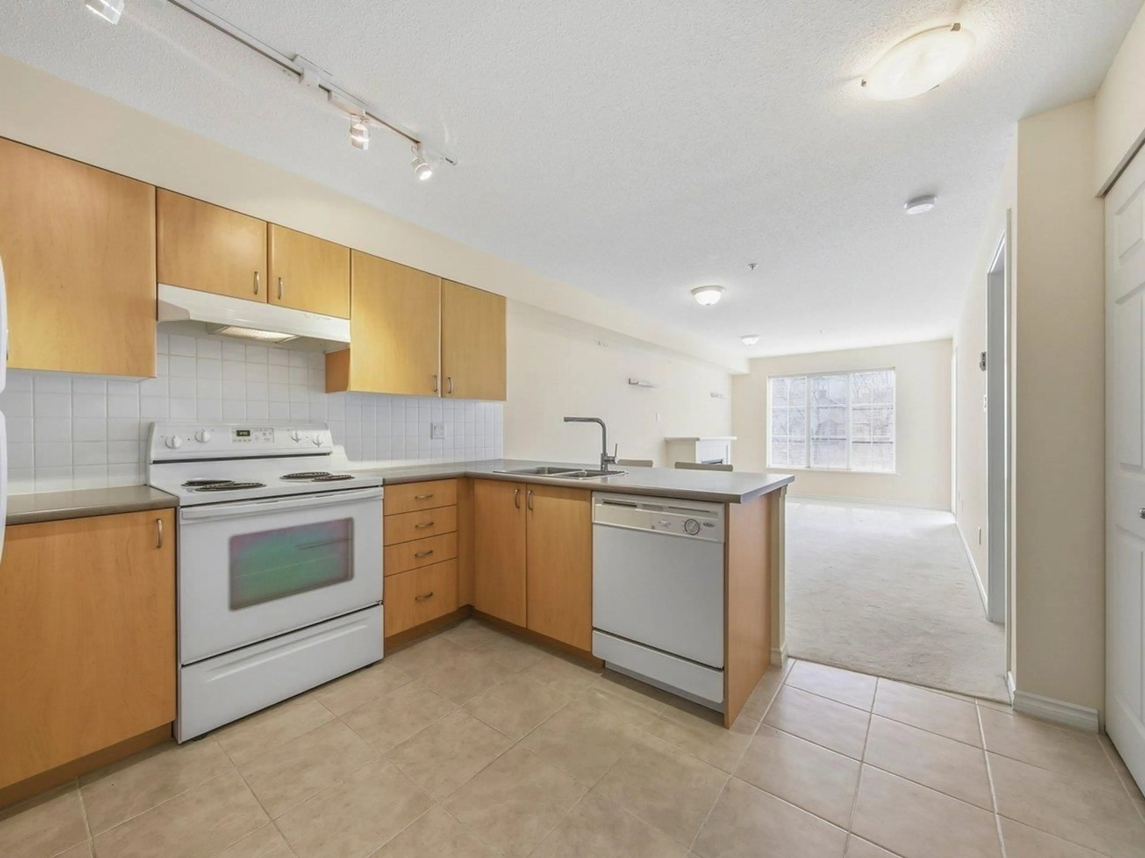 Standard kitchen, unknown for 204 - 14859 100 AVENUE, Surrey British Columbia V3R2V5