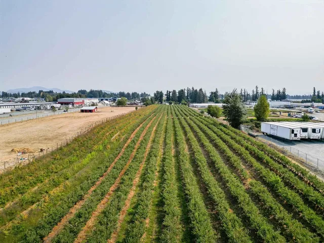 1963 TOWNLINE ROAD, Abbotsford 5