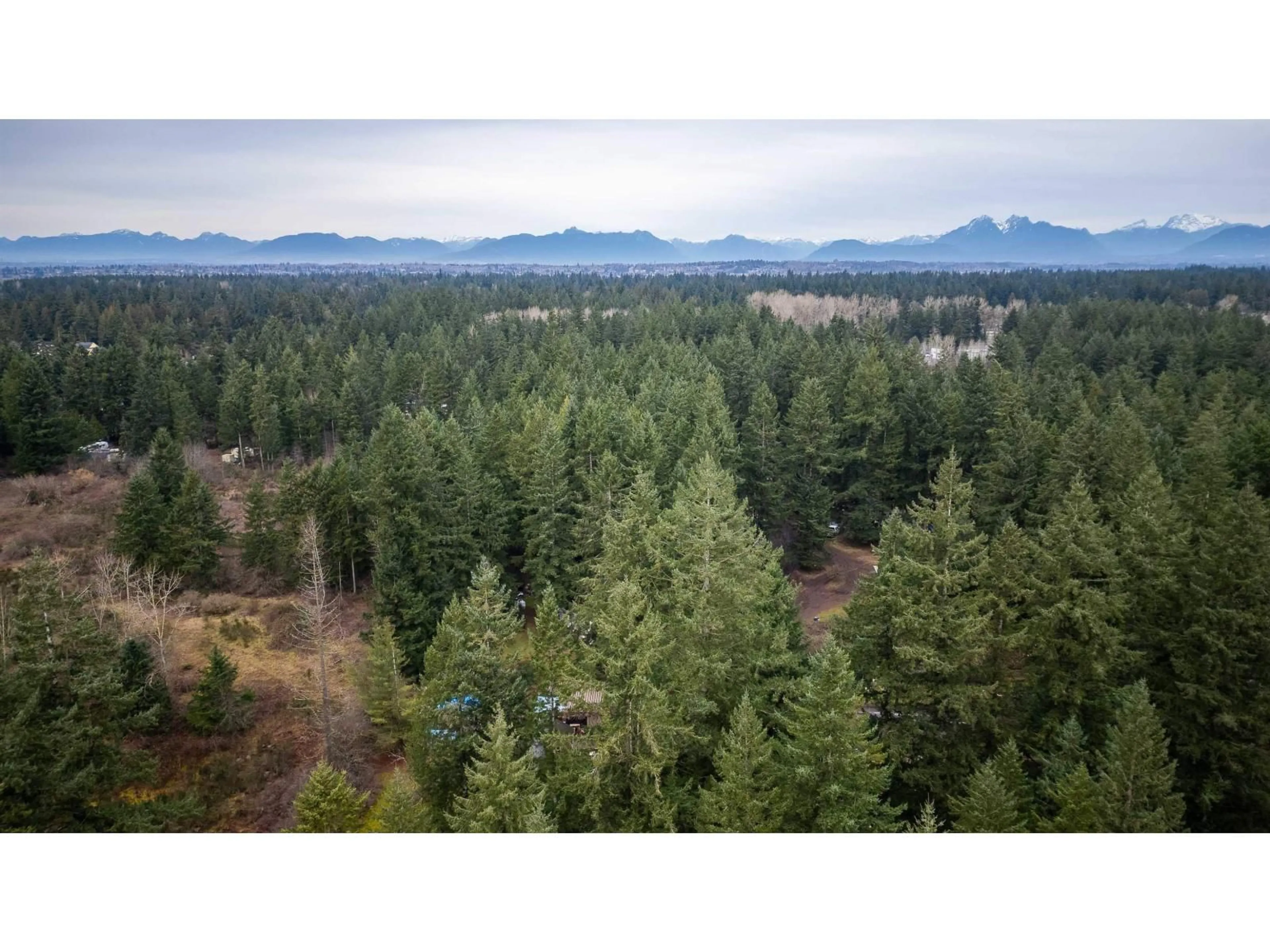A pic from outside/outdoor area/front of a property/back of a property/a pic from drone, forest/trees view for 20108 32 AVENUE, Langley British Columbia V2Z2E1