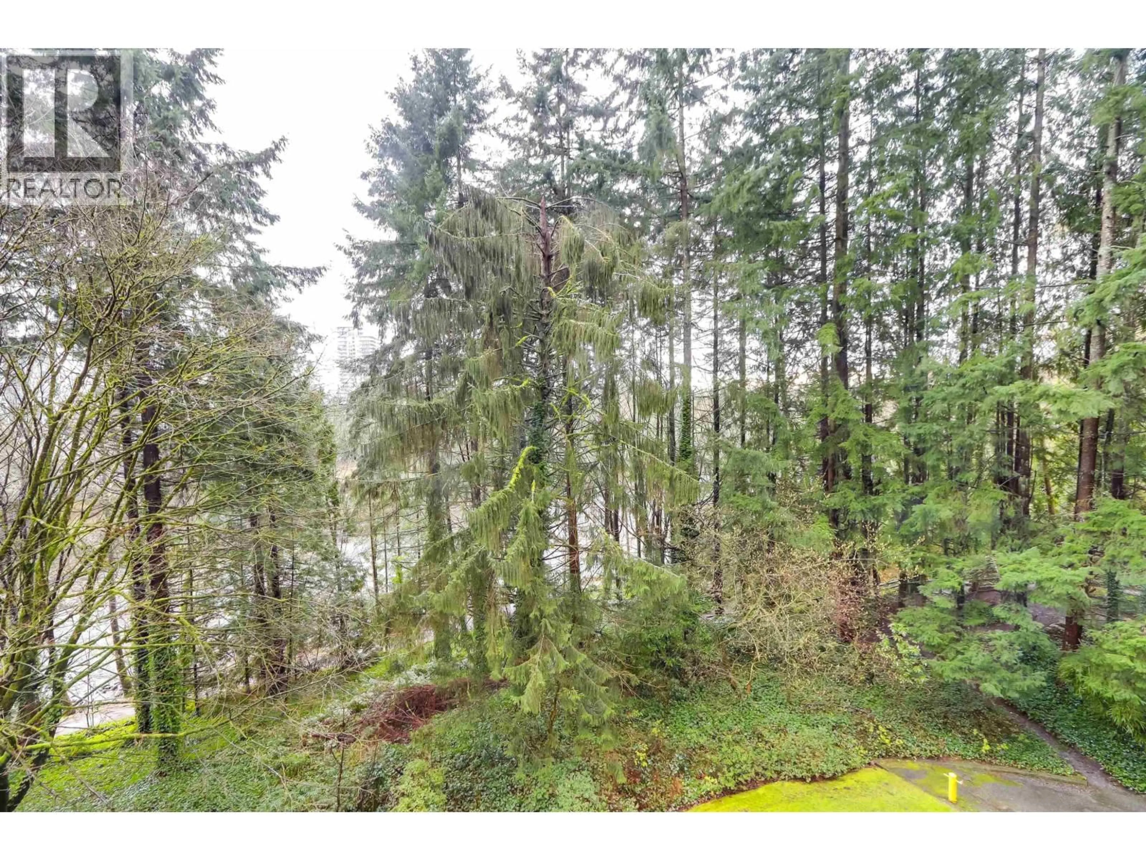 A pic from outside/outdoor area/front of a property/back of a property/a pic from drone, forest/trees view for 402 - 2024 FULLERTON AVENUE, North Vancouver British Columbia V7P3G4