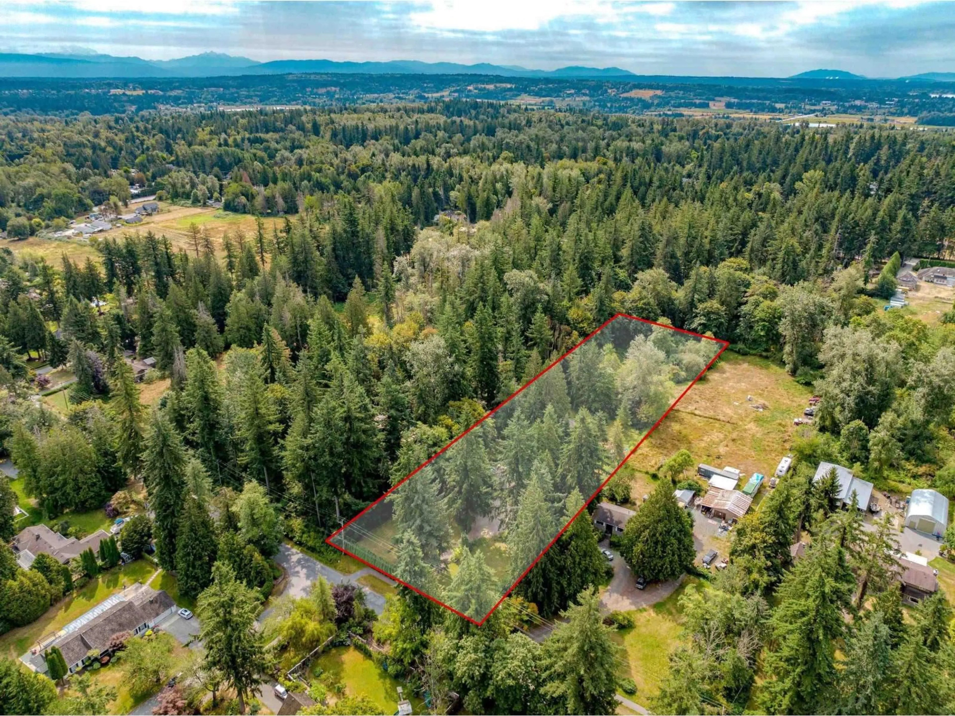 A pic from outside/outdoor area/front of a property/back of a property/a pic from drone, forest/trees view for 17300 26 AVENUE, Surrey British Columbia V3Z0A4