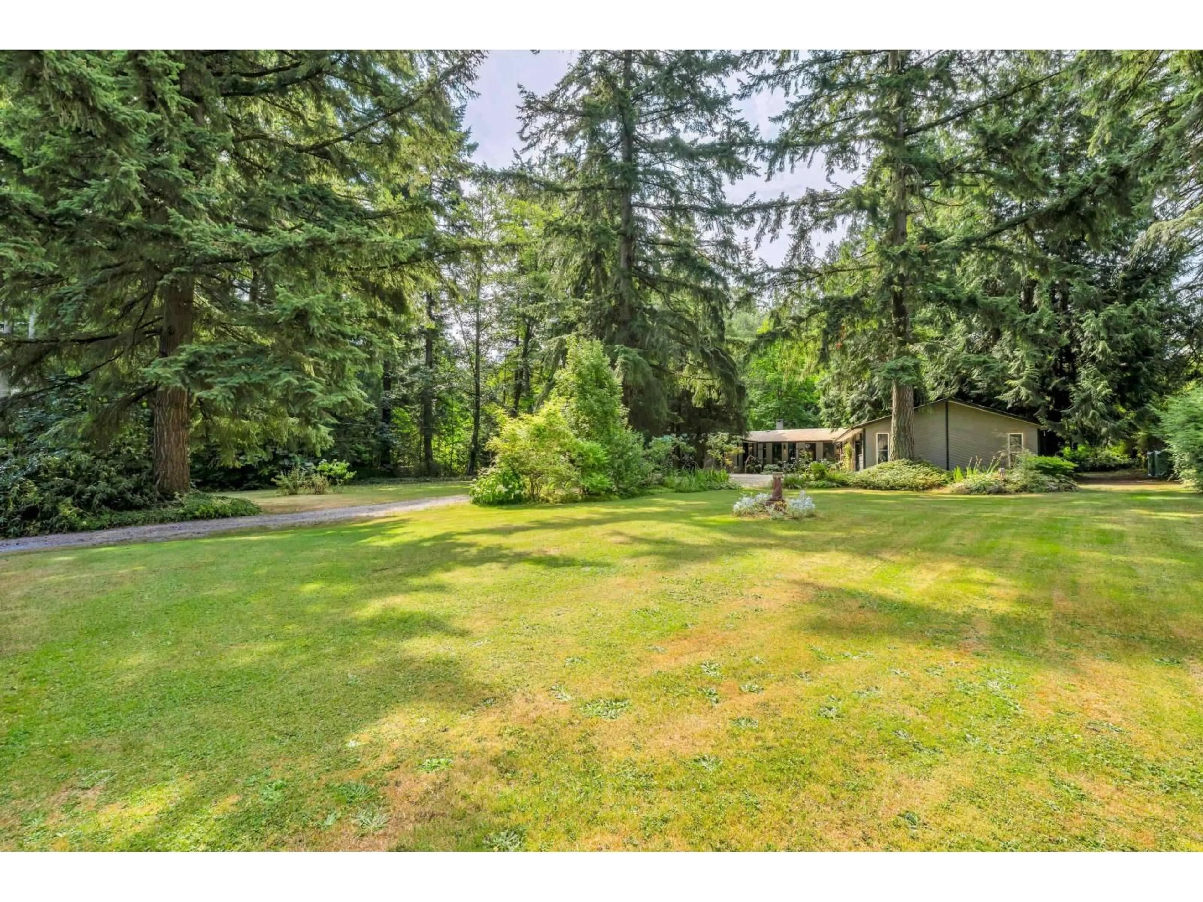 A pic from outside/outdoor area/front of a property/back of a property/a pic from drone, forest/trees view for 17300 26 AVENUE, Surrey British Columbia V3Z0A4