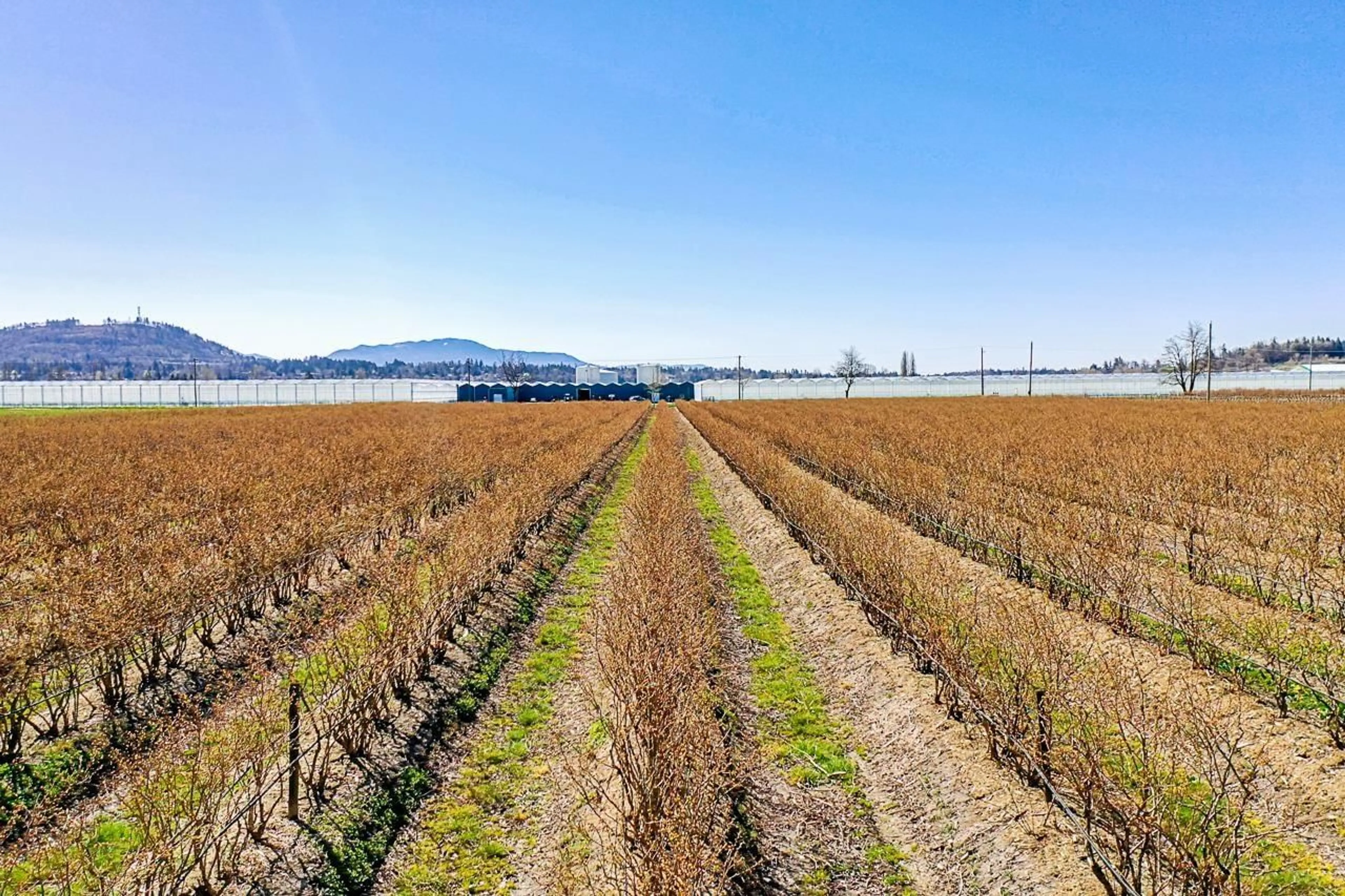 A pic from outside/outdoor area/front of a property/back of a property/a pic from drone, unknown for 34221 TOWNSHIPLINE ROAD, Abbotsford British Columbia V3G1R1