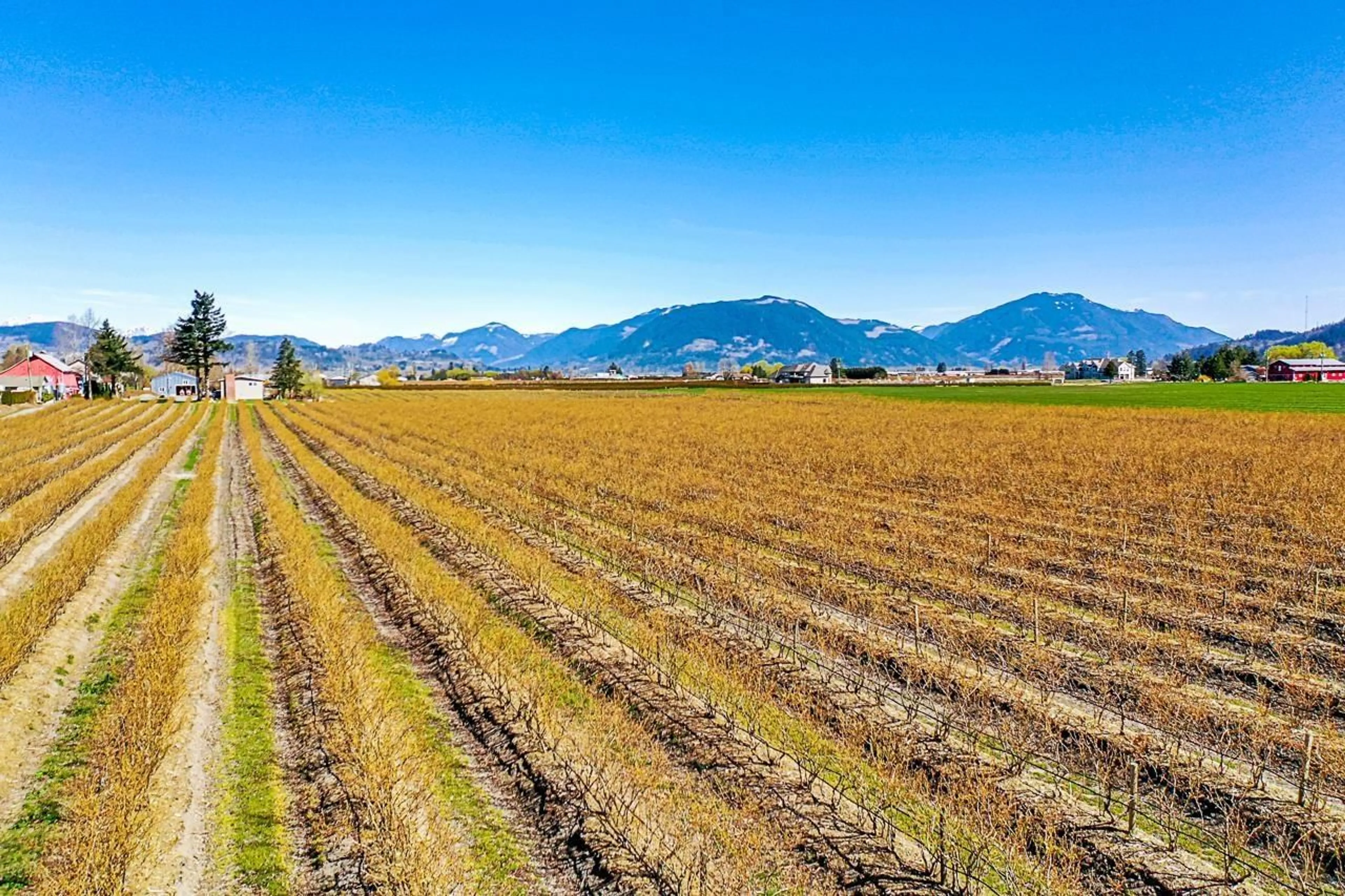 A pic from outside/outdoor area/front of a property/back of a property/a pic from drone, mountain view for 34221 TOWNSHIPLINE ROAD, Abbotsford British Columbia V3G1R1