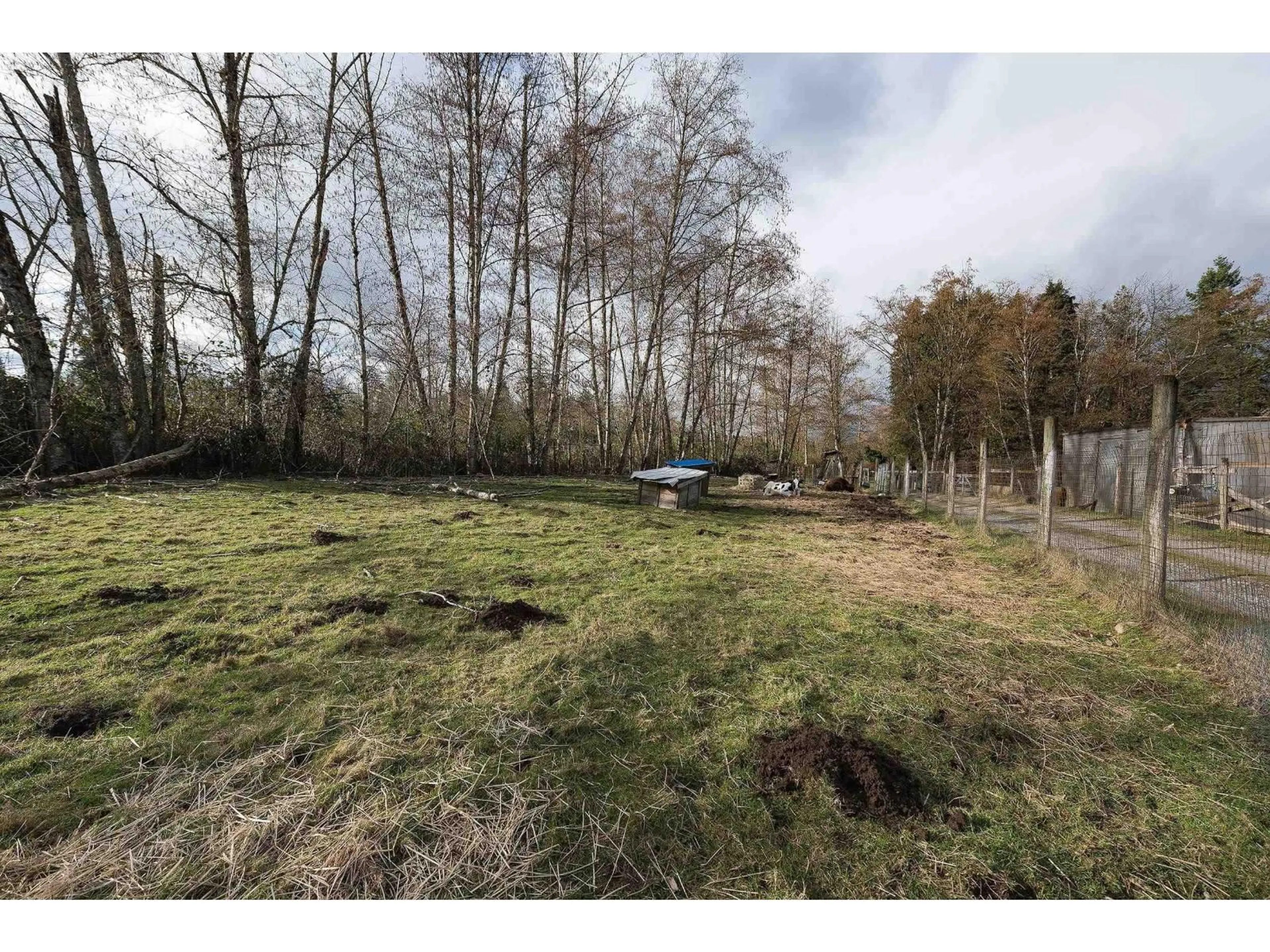 A pic from outside/outdoor area/front of a property/back of a property/a pic from drone, forest/trees view for 19607 80 AVENUE, Langley British Columbia V3A4P7