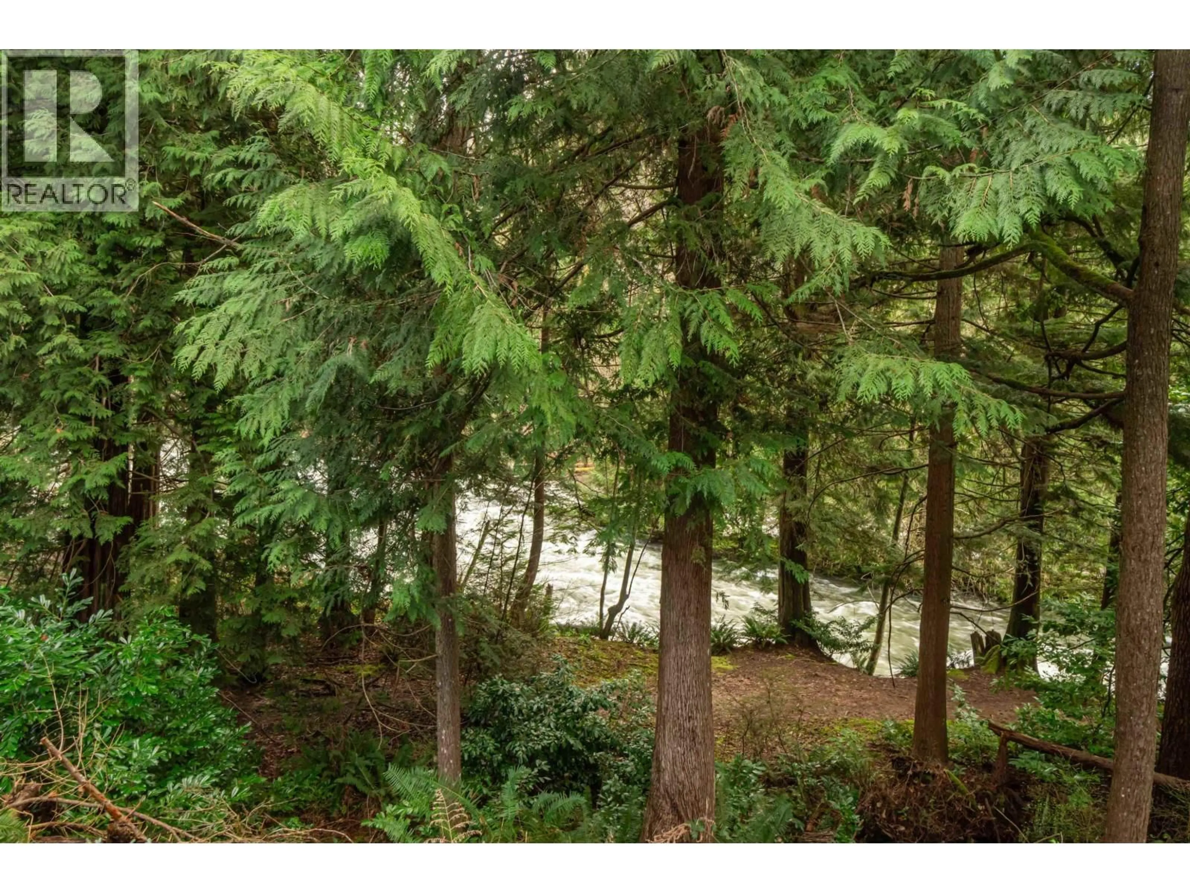 A pic from outside/outdoor area/front of a property/back of a property/a pic from drone, forest/trees view for 3332 TURNER AVENUE, Coquitlam British Columbia V3E3B9