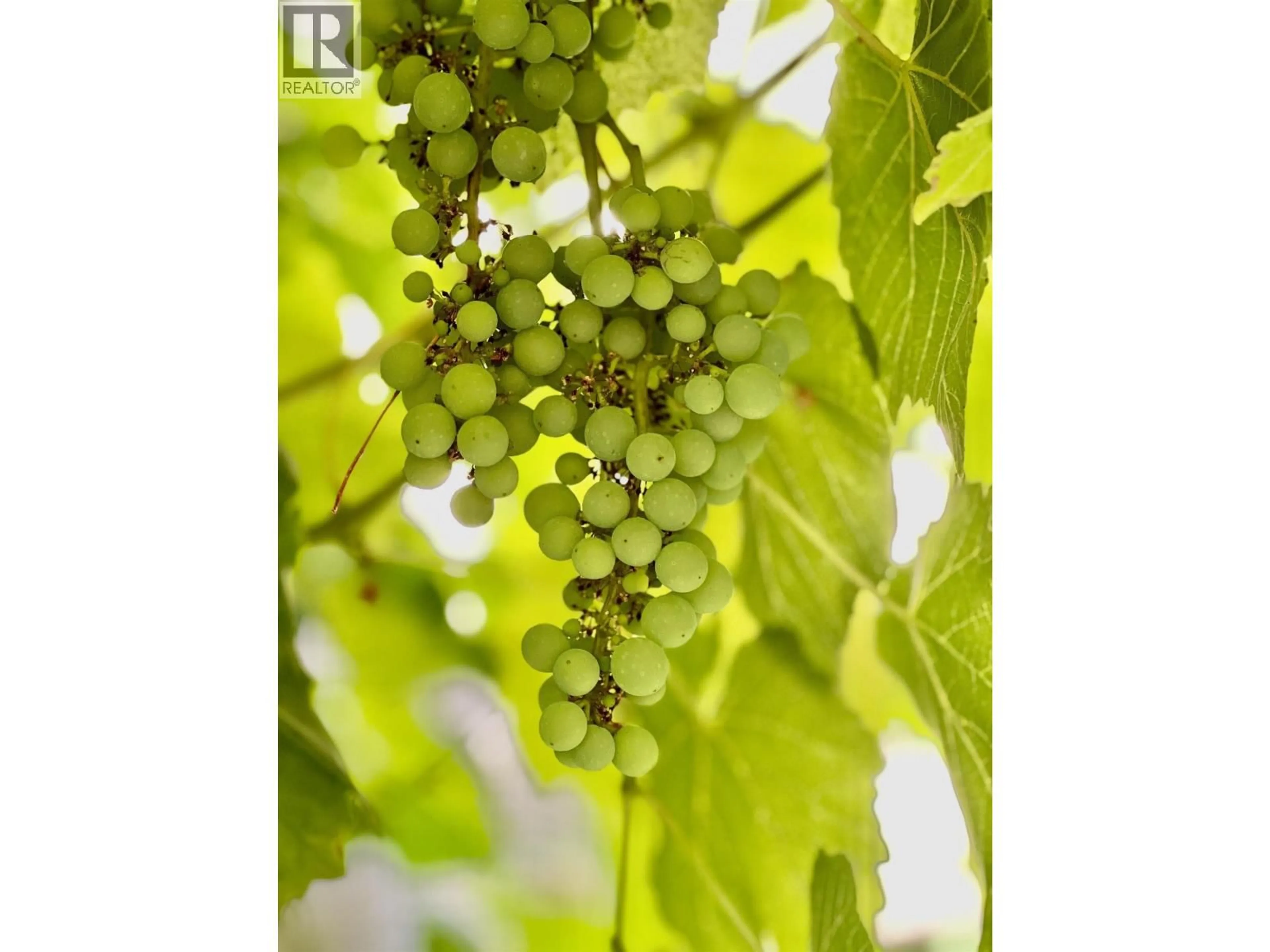 Blurry image for 10495 YARMISH DRIVE, Richmond British Columbia V7E5L5