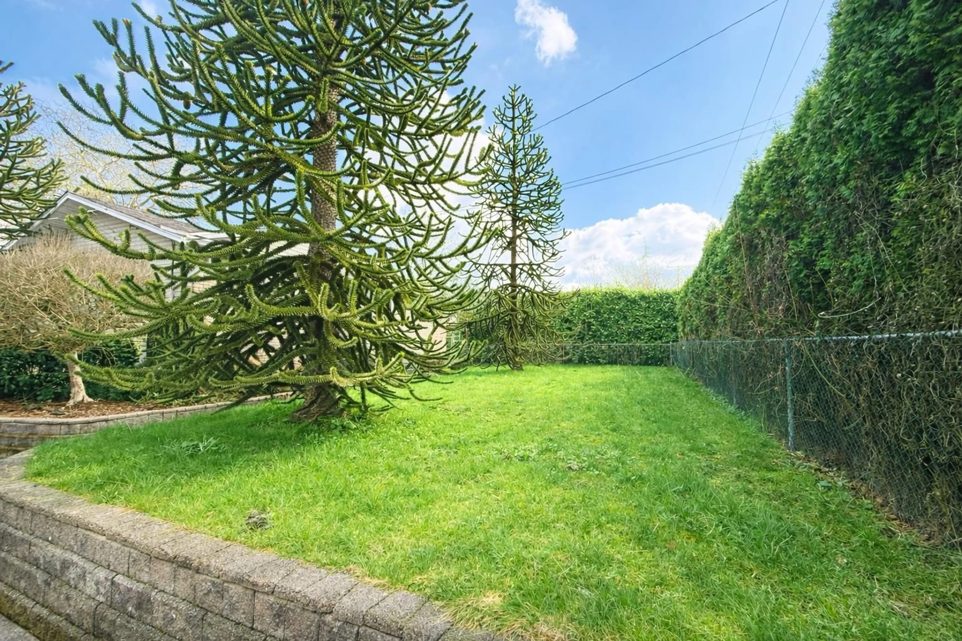 A pic from outside/outdoor area/front of a property/back of a property/a pic from drone, forest/trees view for 21355 OLD YALE ROAD, Langley British Columbia V3A4M6