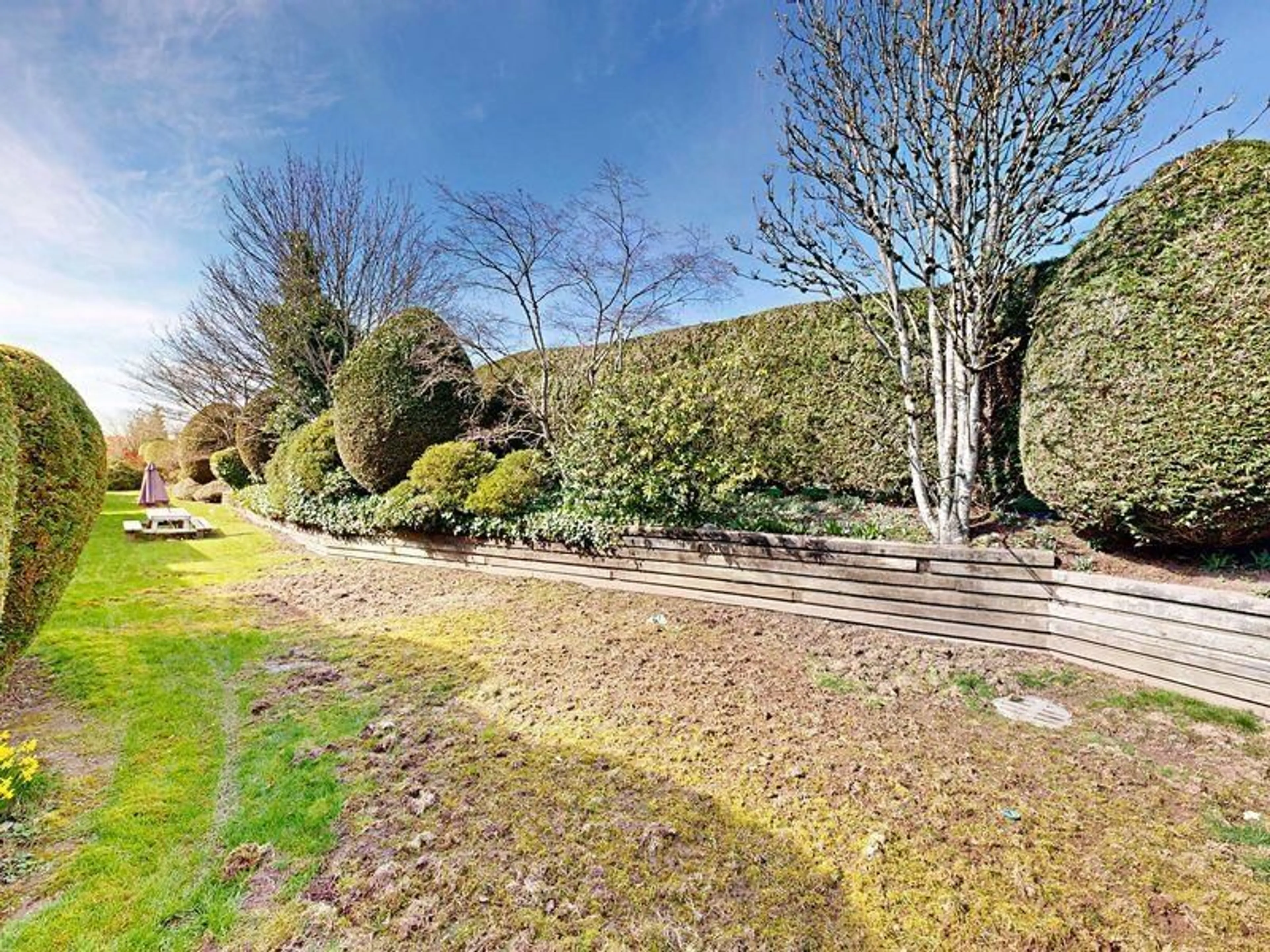 A pic from outside/outdoor area/front of a property/back of a property/a pic from drone, forest/trees view for 190 - 3160 TOWNLINE ROAD, Abbotsford British Columbia V2T5P4