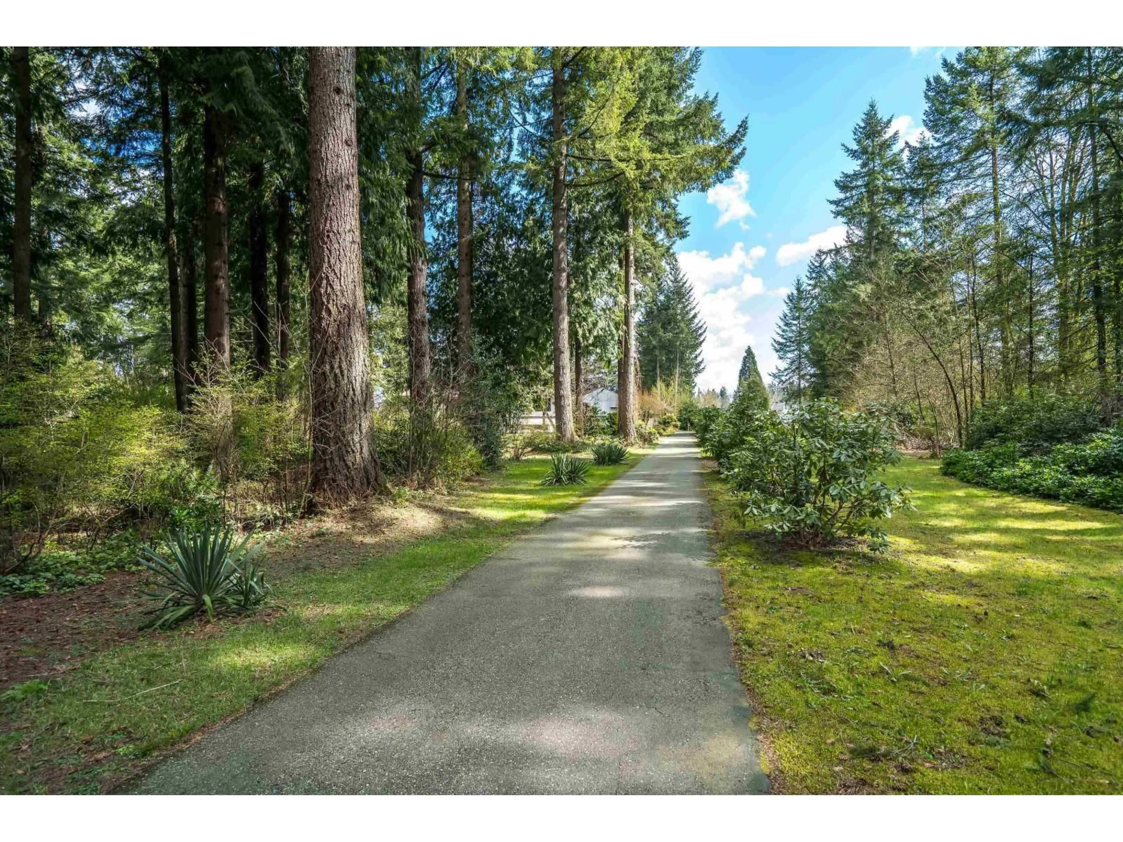 A pic from outside/outdoor area/front of a property/back of a property/a pic from drone, forest/trees view for 5342 236TH STREET, Langley British Columbia V2Z2P4