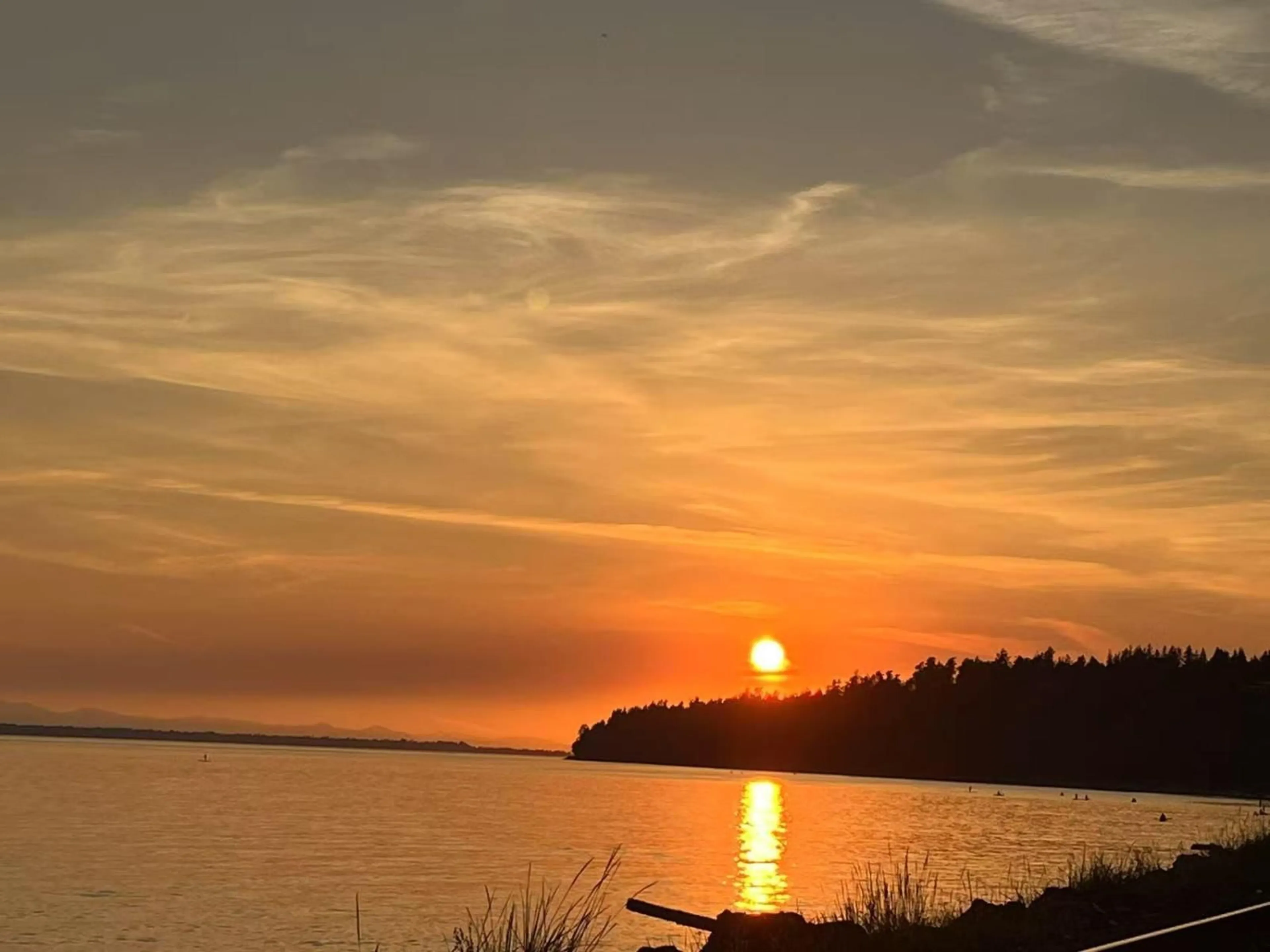 Blurry image for 1309 ANDERSON STREET, White Rock British Columbia V4B3P4