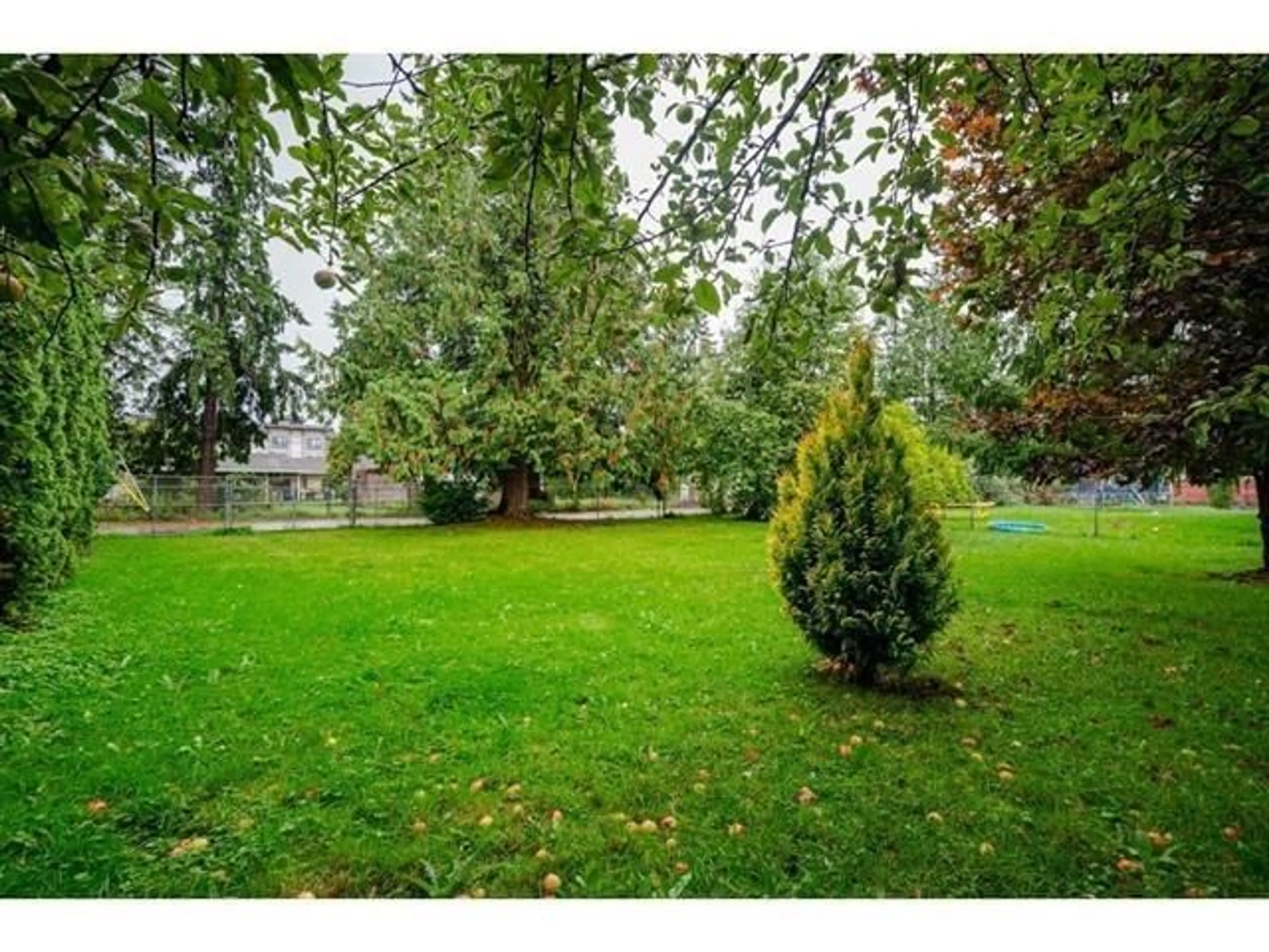 Patio, forest/trees view for 19680 56 AVENUE, Langley British Columbia V3S6K3