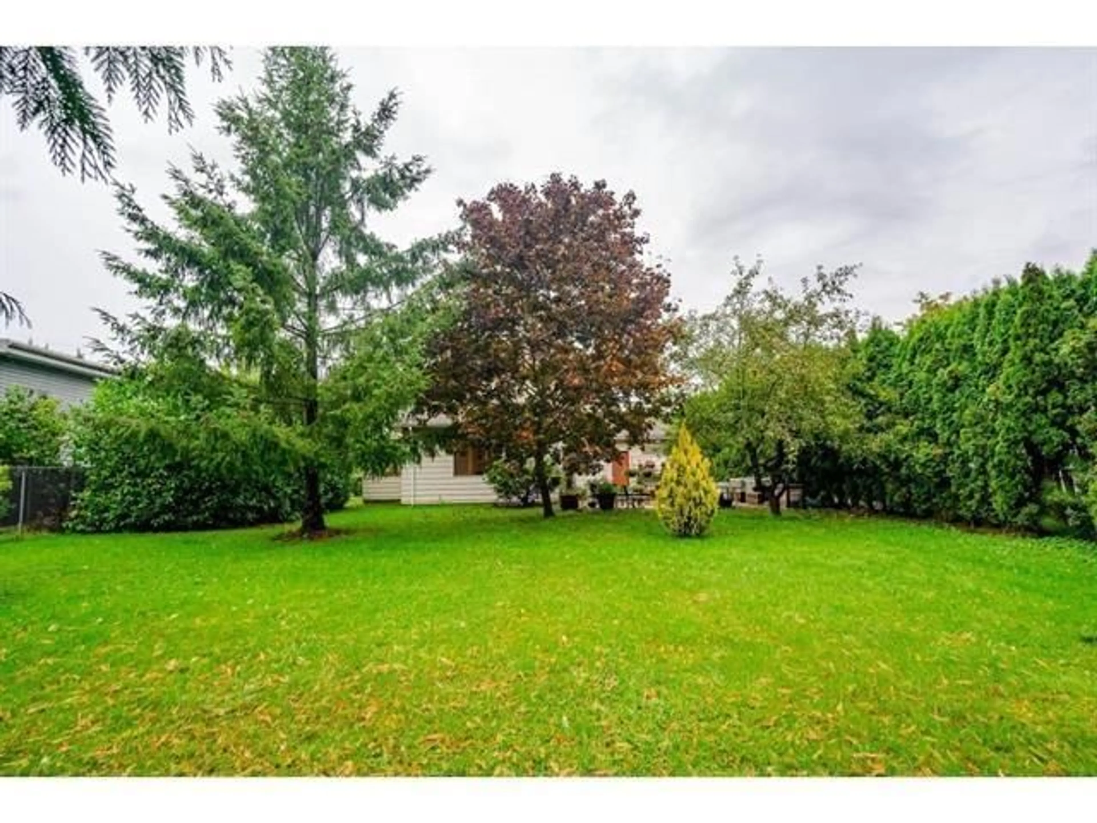 A pic from outside/outdoor area/front of a property/back of a property/a pic from drone, forest/trees view for 19680 56 AVENUE, Langley British Columbia V3S6K3