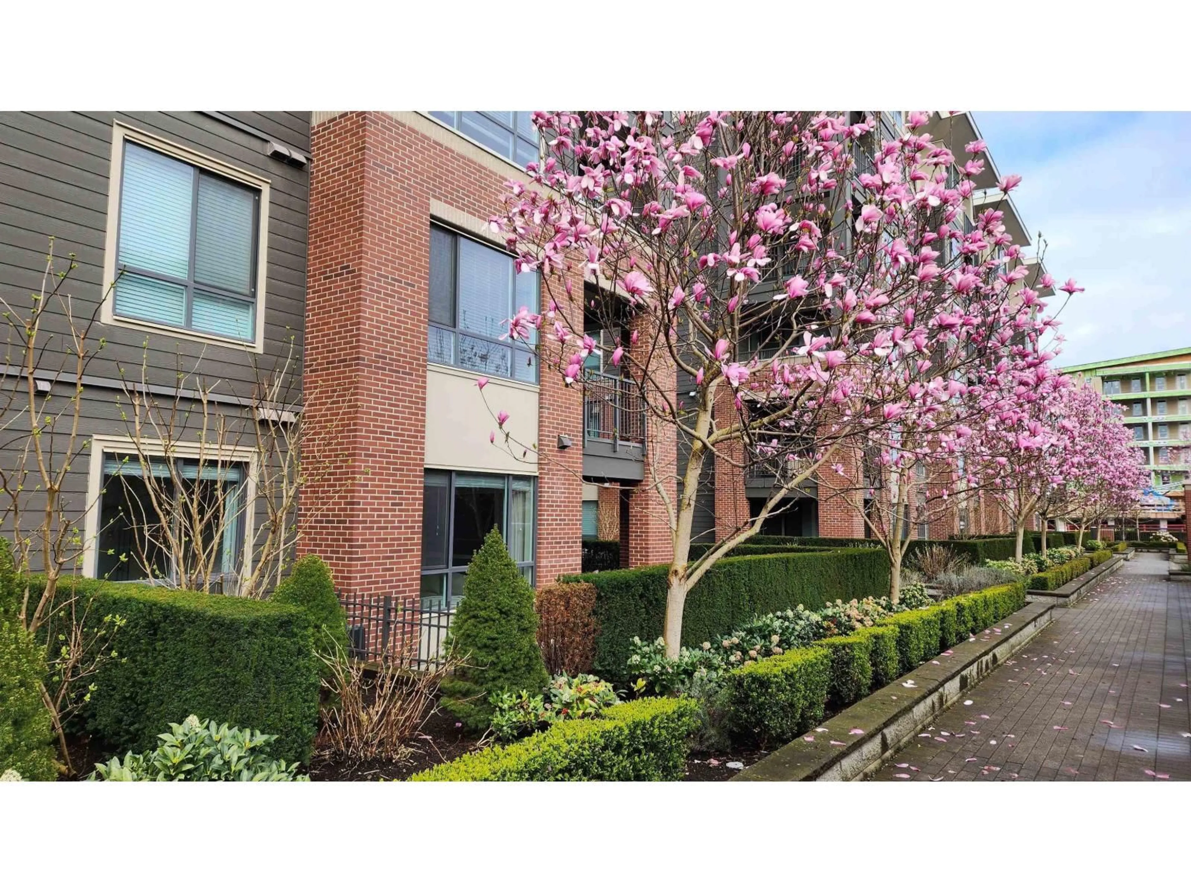 A pic from outside/outdoor area/front of a property/back of a property/a pic from drone, building for 102 - 33540 MAYFAIR AVENUE, Abbotsford British Columbia V2S0J3