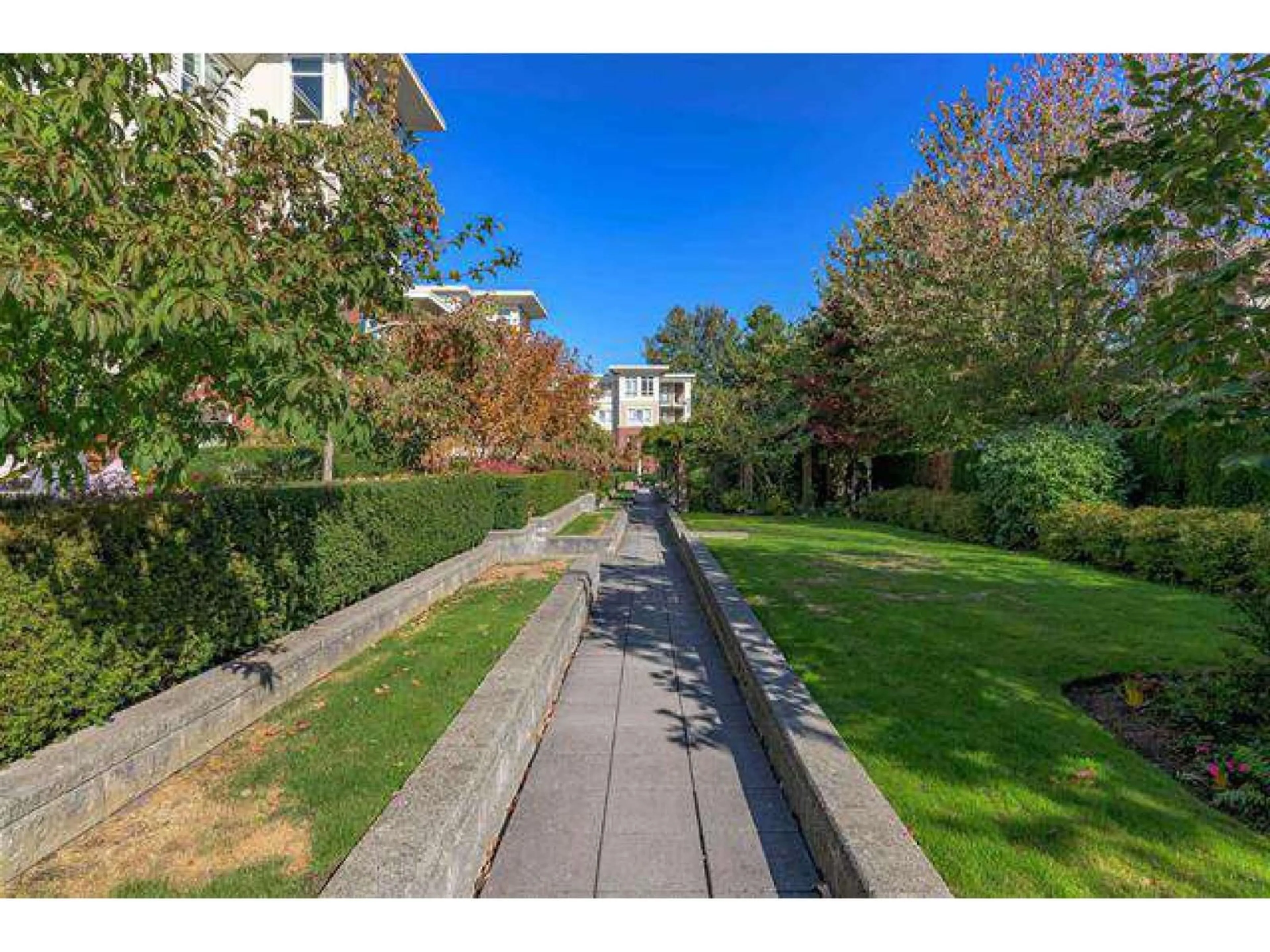 A pic from outside/outdoor area/front of a property/back of a property/a pic from drone, street for 205 - 2940 KING GEORGE BOULEVARD, Surrey British Columbia V4P1A2