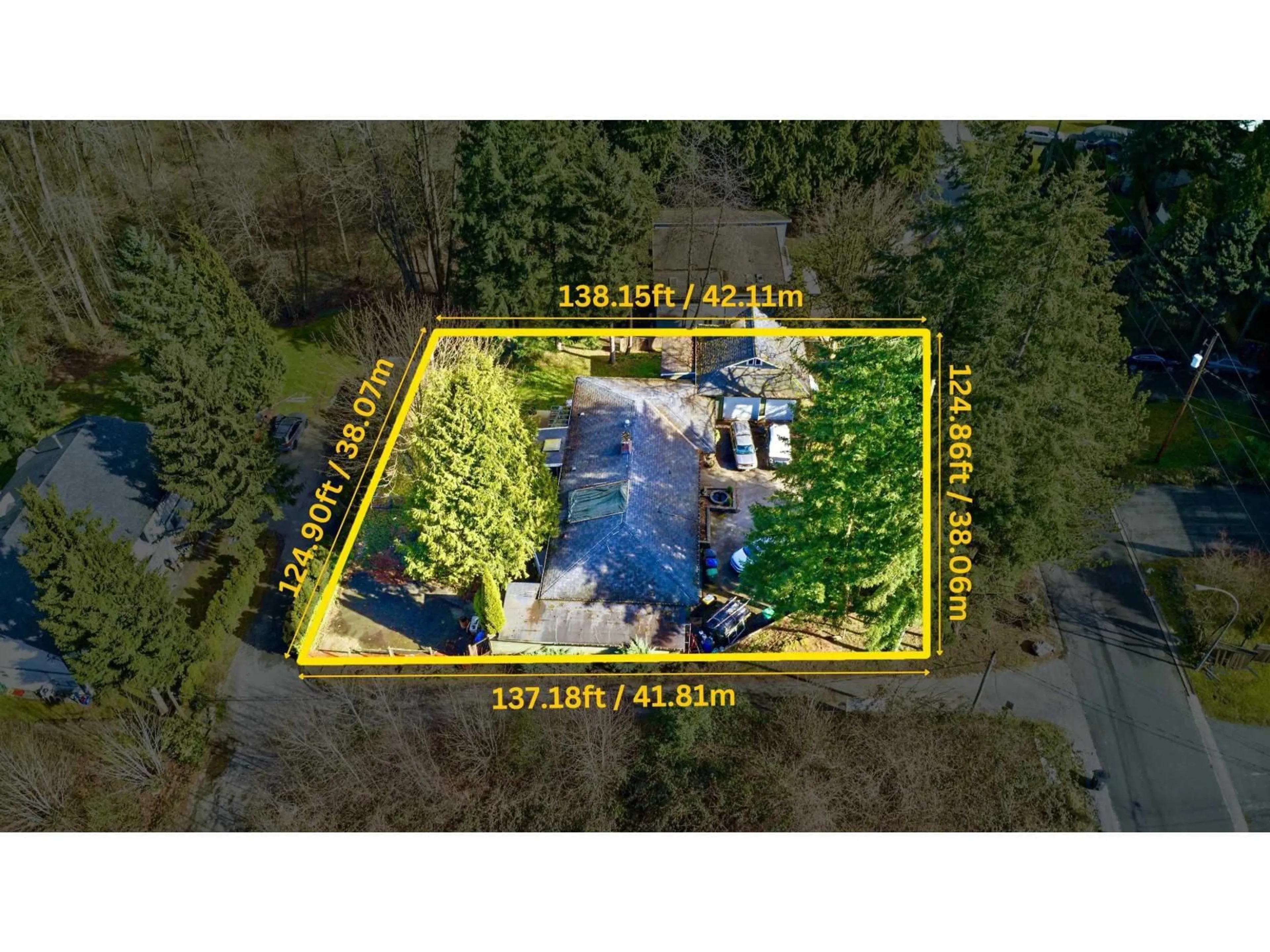 A pic from outside/outdoor area/front of a property/back of a property/a pic from drone, forest/trees view for 14373 115 AVENUE, Surrey British Columbia V3R2P9