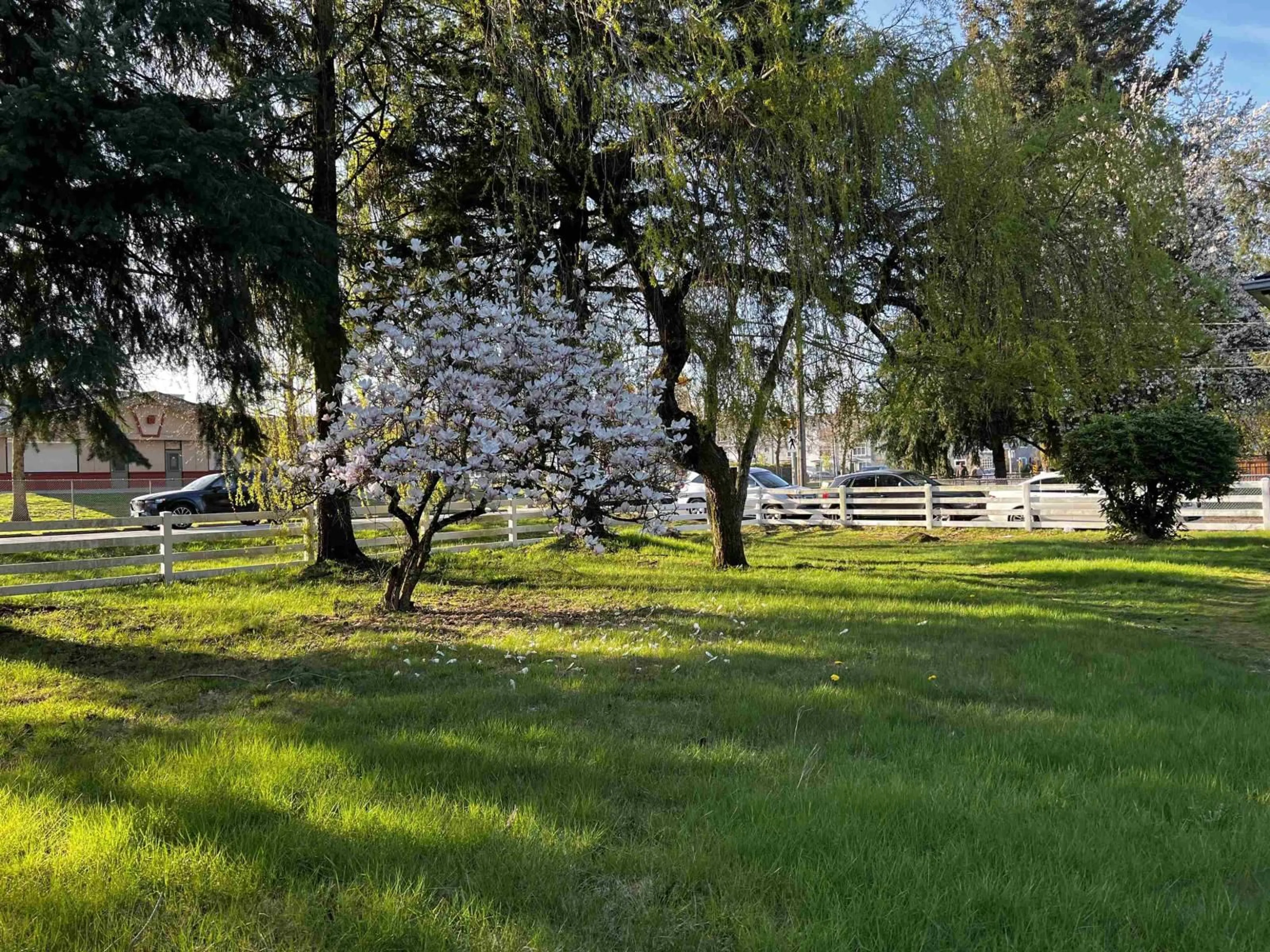 A pic from outside/outdoor area/front of a property/back of a property/a pic from drone, forest/trees view for 9894 156 STREET, Surrey British Columbia V3R4L3