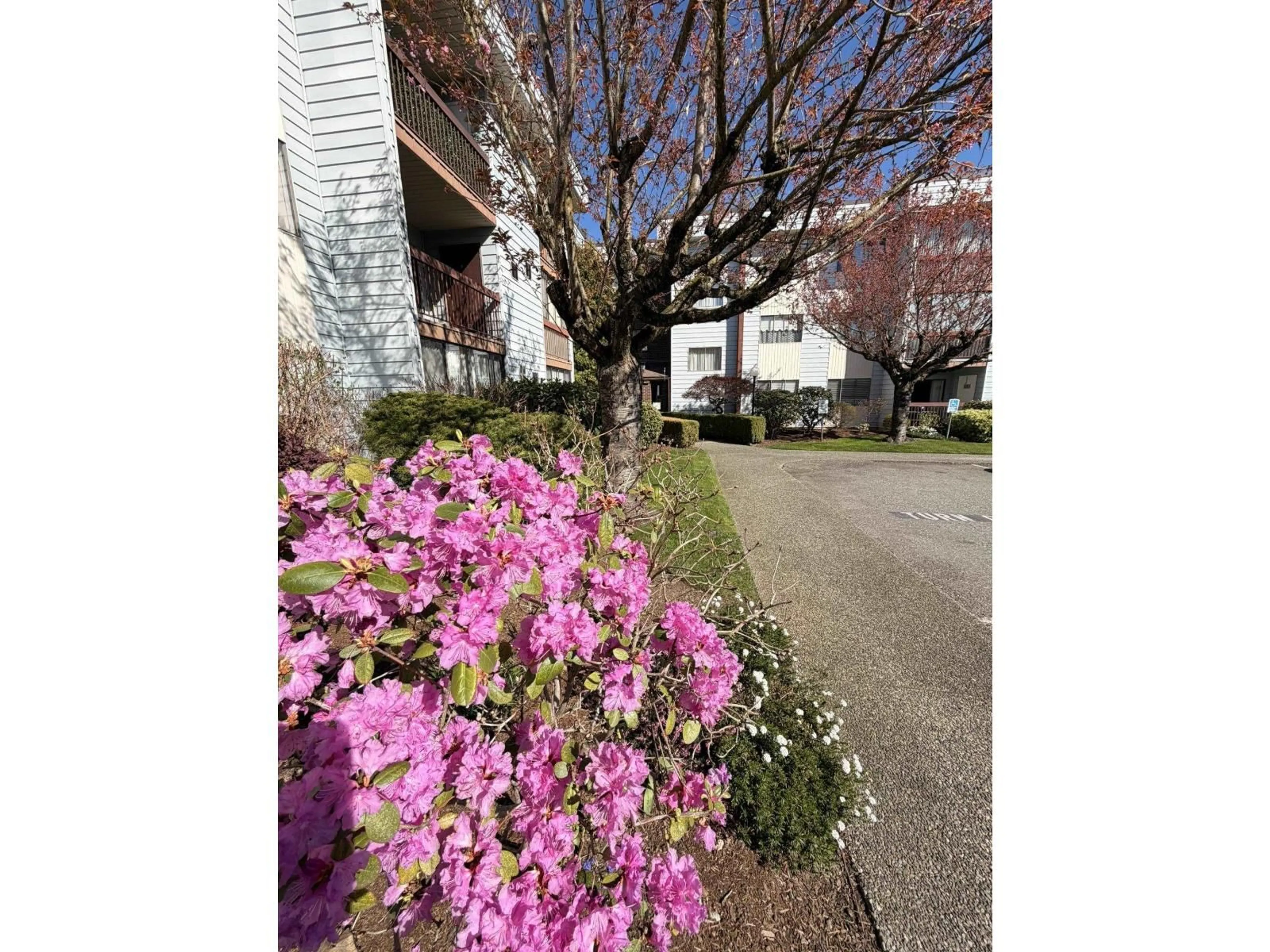 Blurry image for 302 - 2279 MCCALLUM ROAD, Abbotsford British Columbia V2S3N7