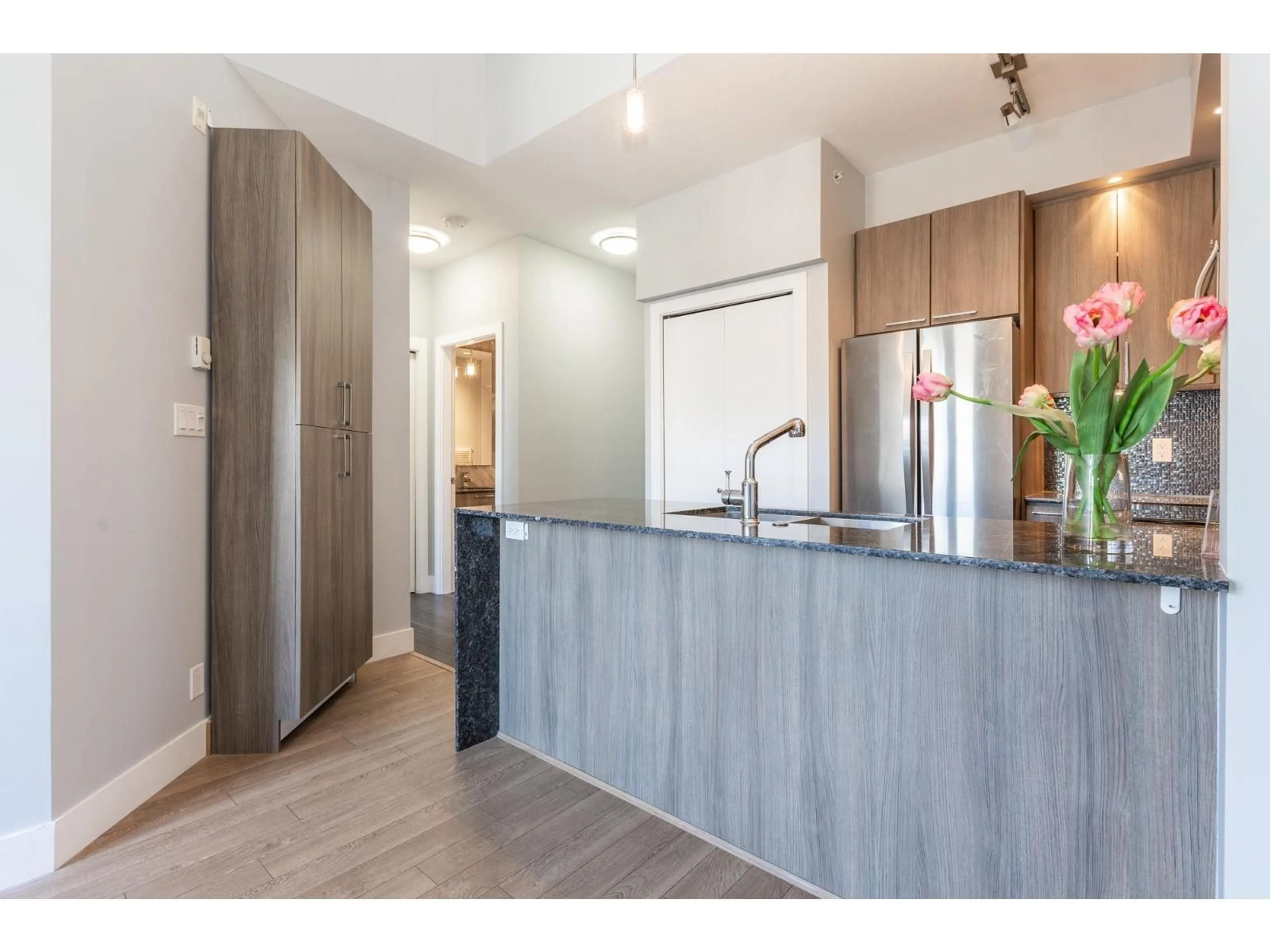 Open concept kitchen, wood/laminate floor for B401 - 20211 66 AVENUE, Langley British Columbia V2Y0L4