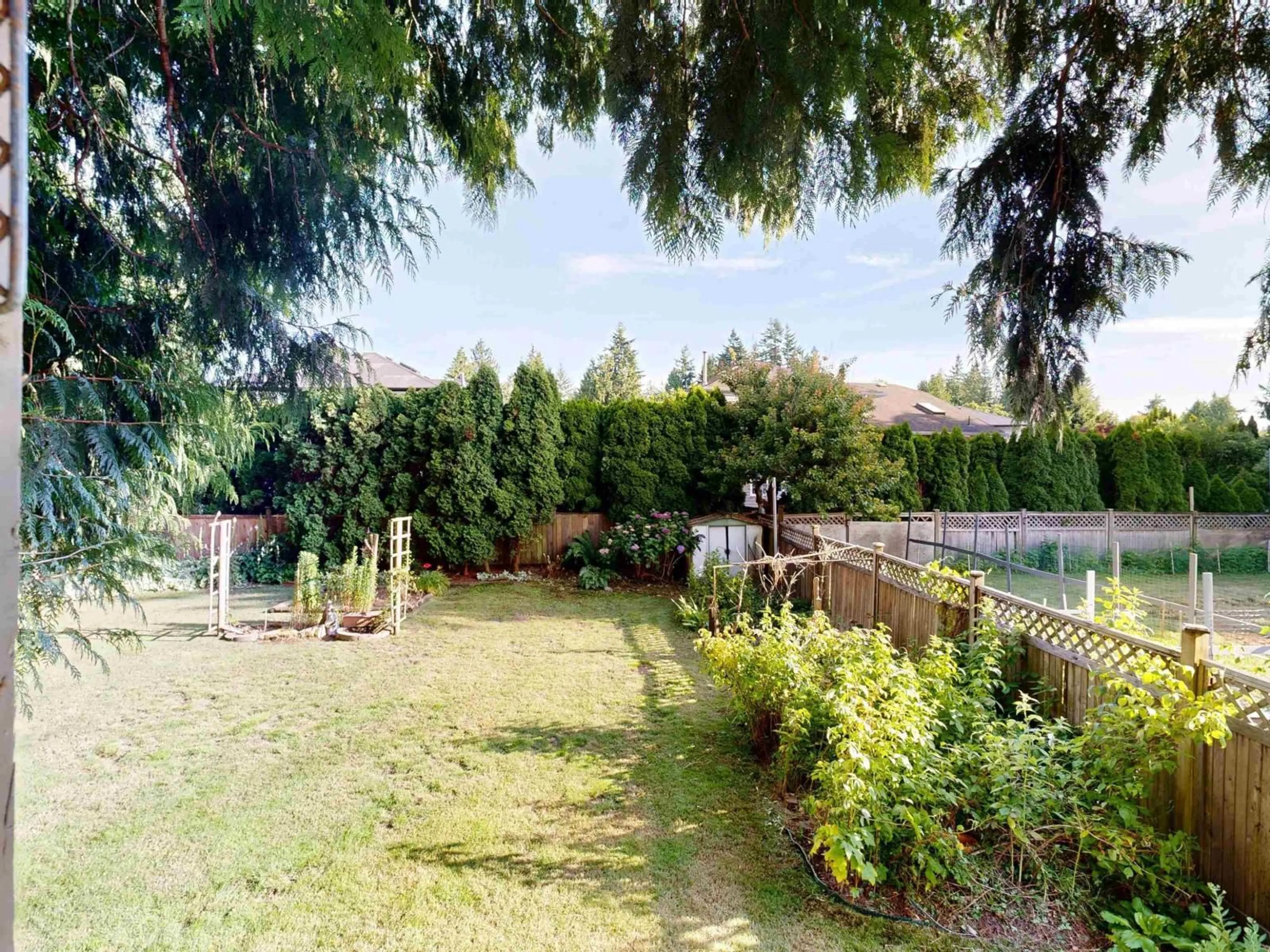 A pic from outside/outdoor area/front of a property/back of a property/a pic from drone, forest/trees view for 11546 71A AVENUE, Delta British Columbia V4E2E3