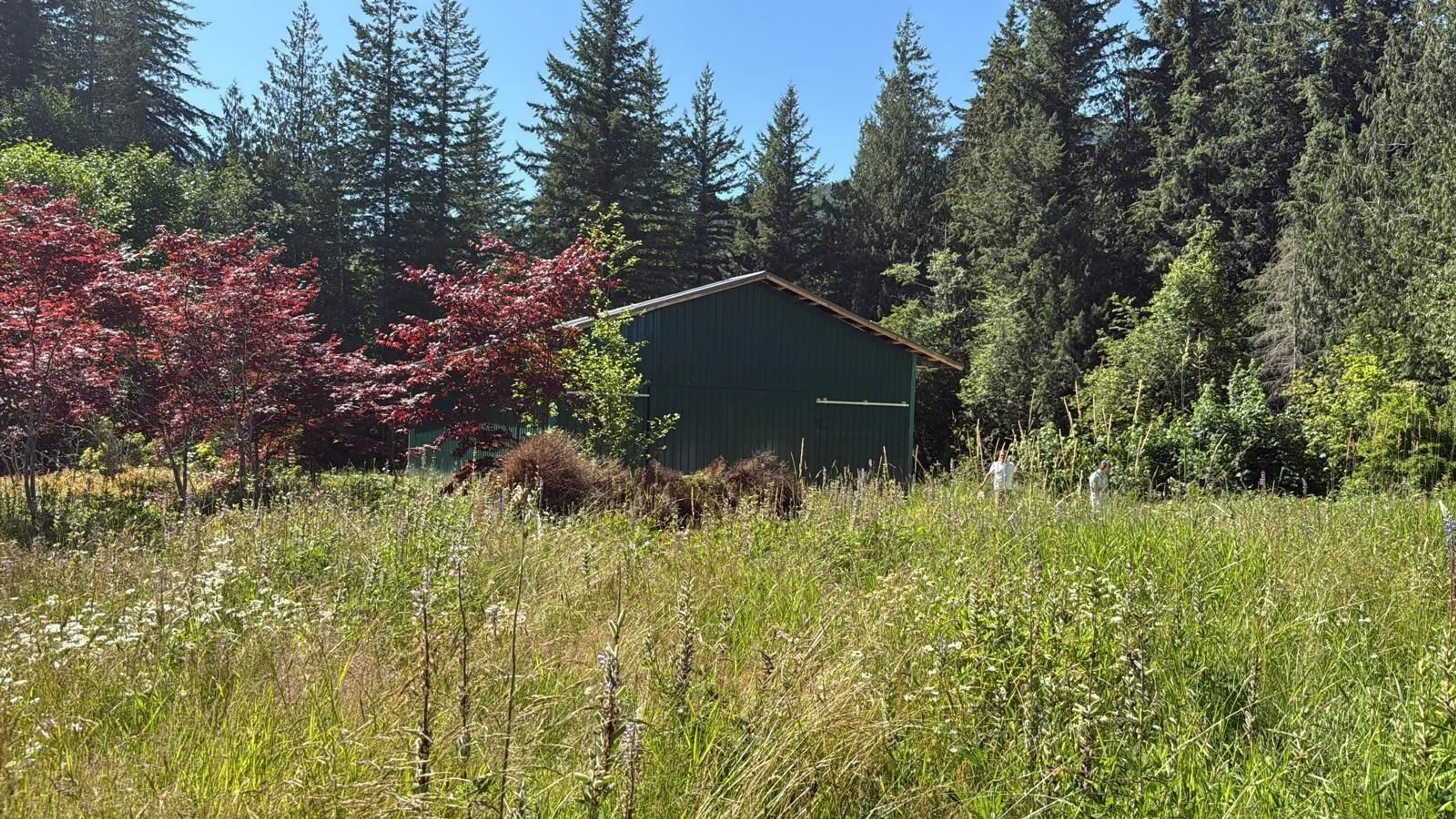 Shed for 1153 KOSIKAR ROAD, Columbia Valley British Columbia V2R4X7