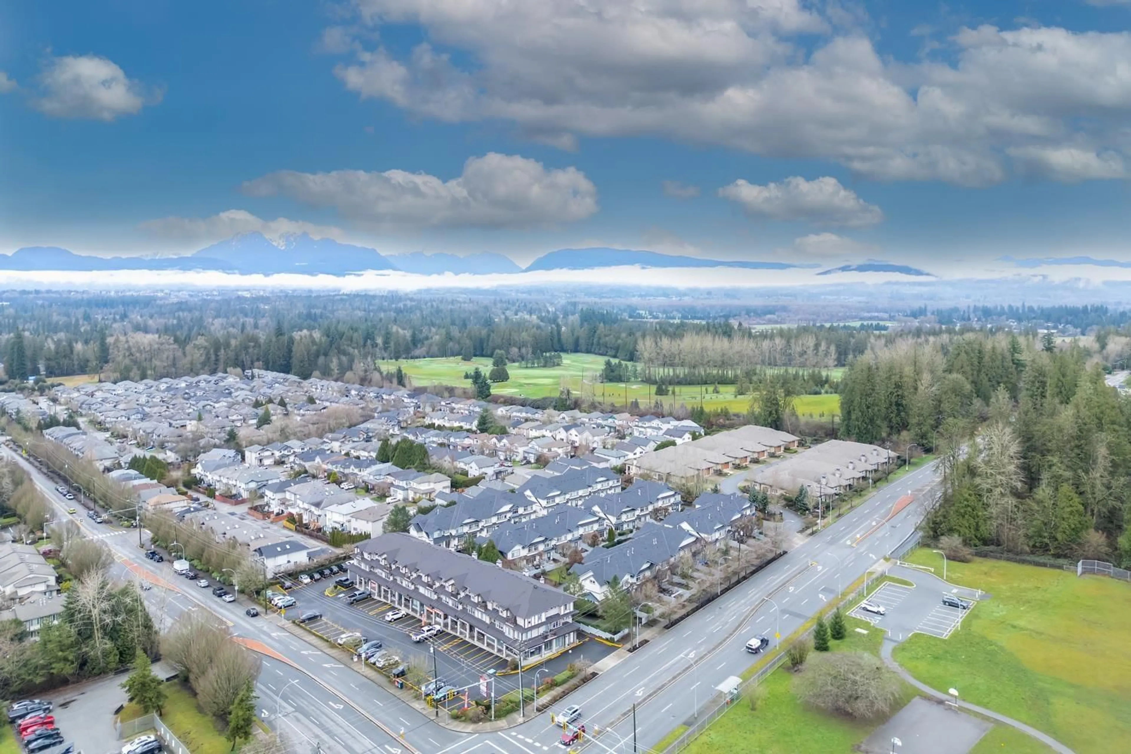 A pic from outside/outdoor area/front of a property/back of a property/a pic from drone, mountain view for 8769 215B STREET, Langley British Columbia V1M2E6