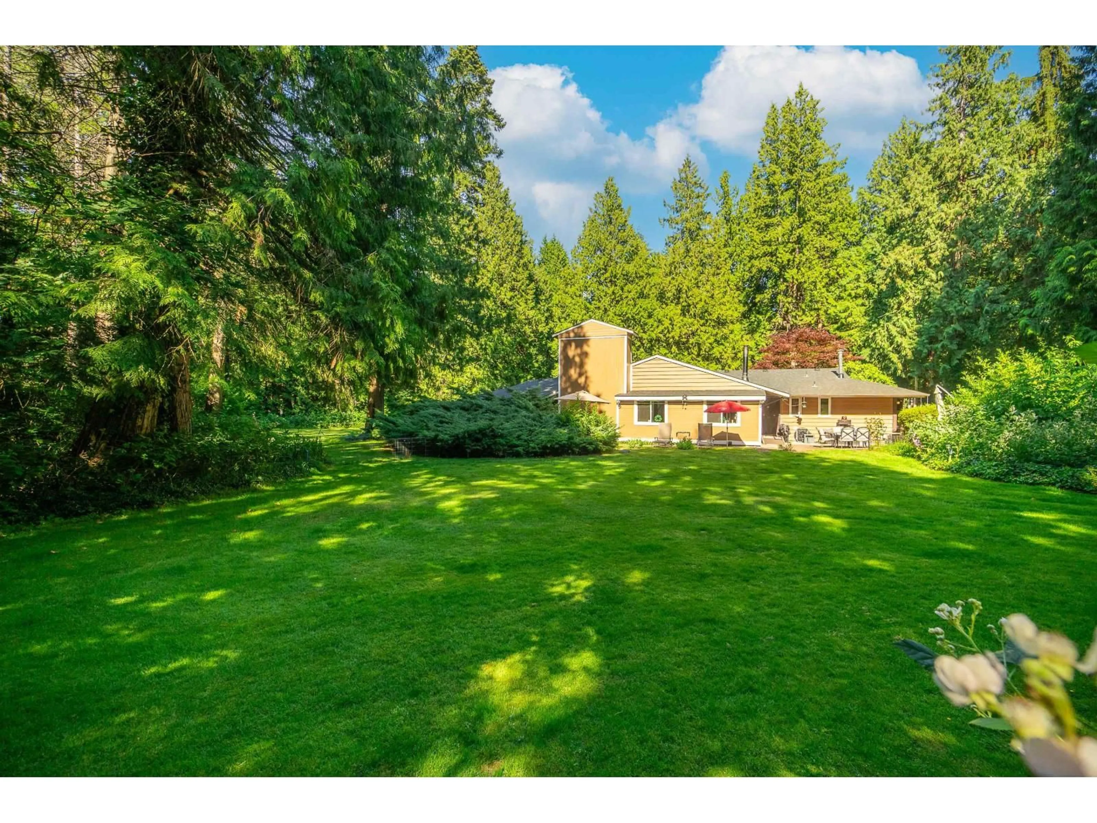 A pic from outside/outdoor area/front of a property/back of a property/a pic from drone, forest/trees view for 13425 WOODCREST DRIVE, Surrey British Columbia V4P1W3