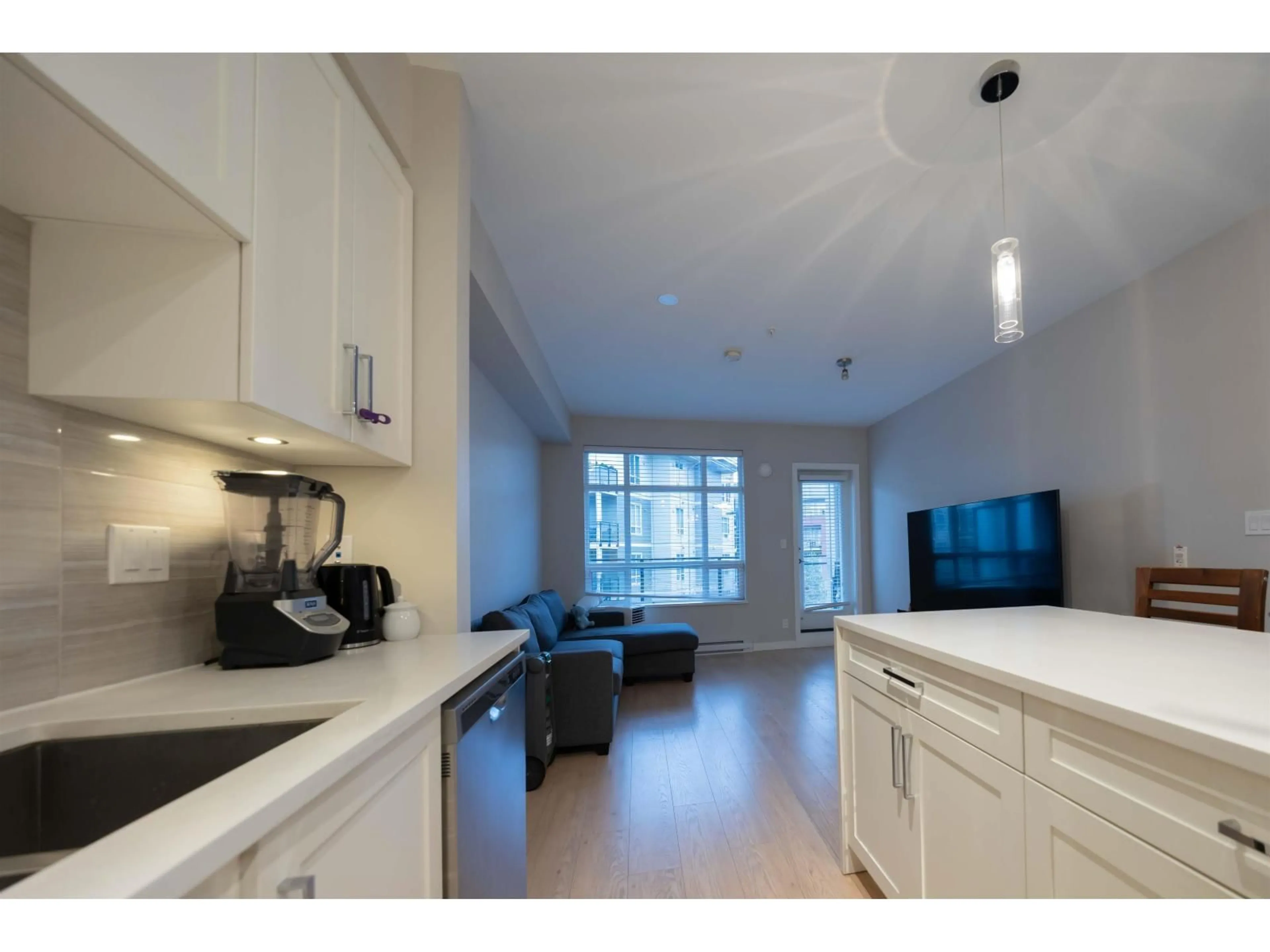 Open concept kitchen, unknown for D202 - 20211 66 AVENUE, Langley British Columbia V2Y0L4